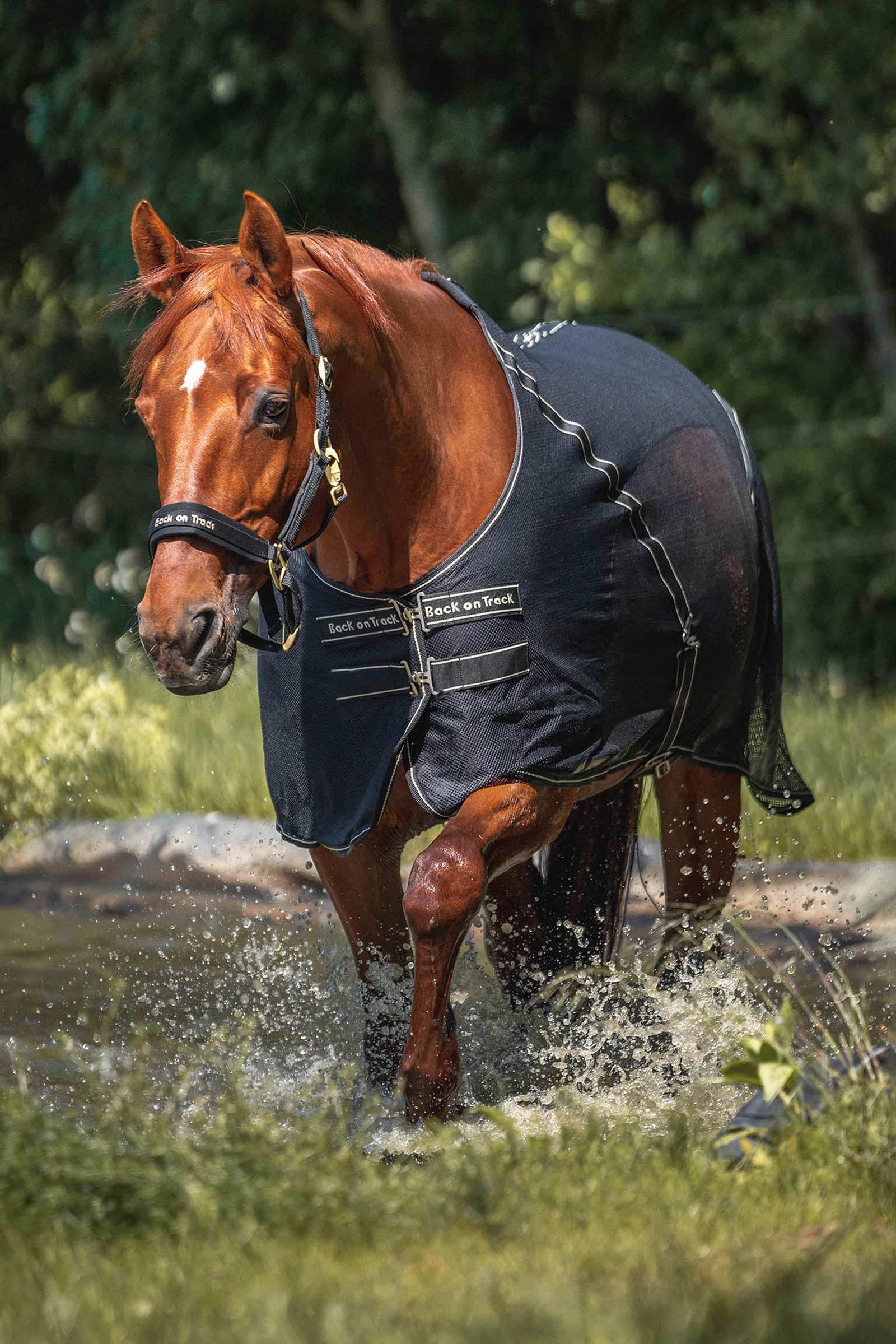 Back on Track Sienna svettäcke