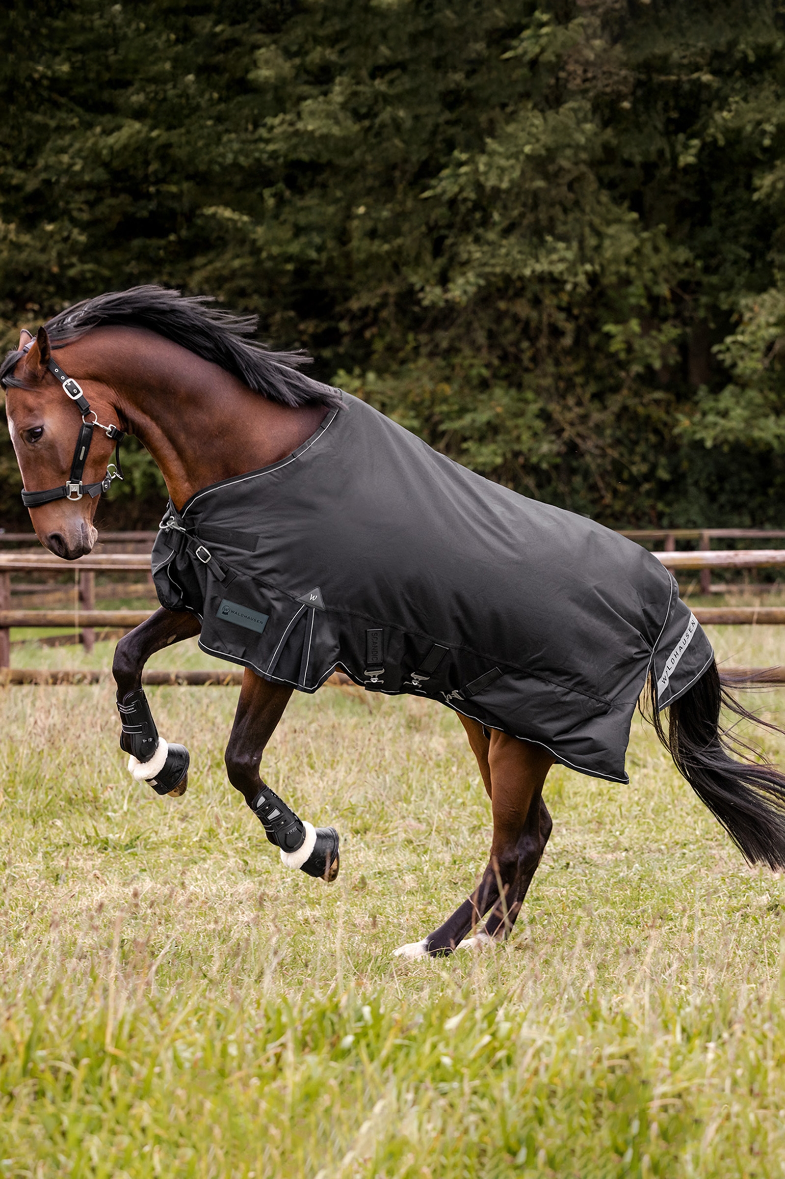 Waldhausen Utomhust&auml;cke Scandic 50g