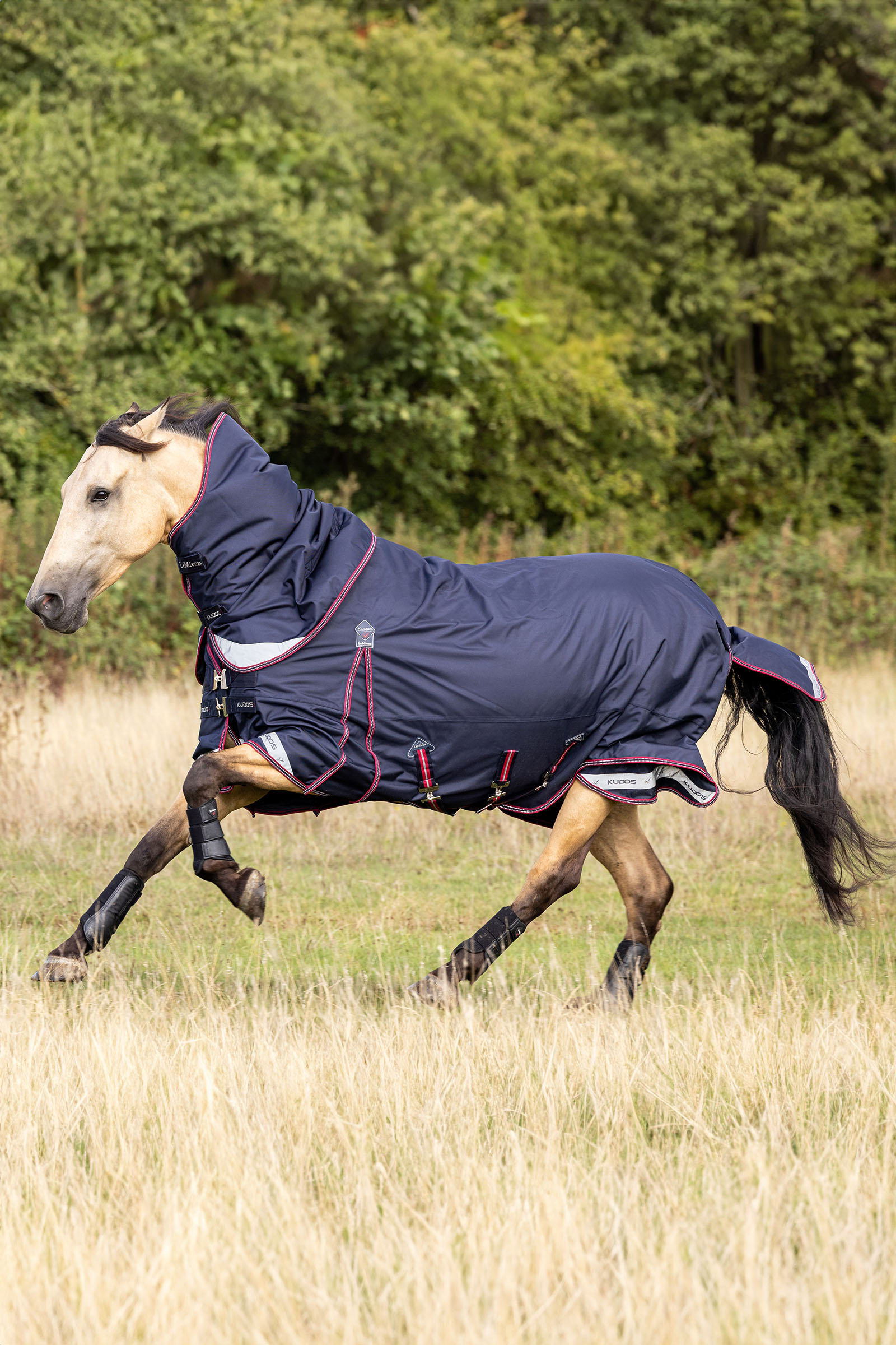 LeMieux Kudos lätt utetäcke 100g