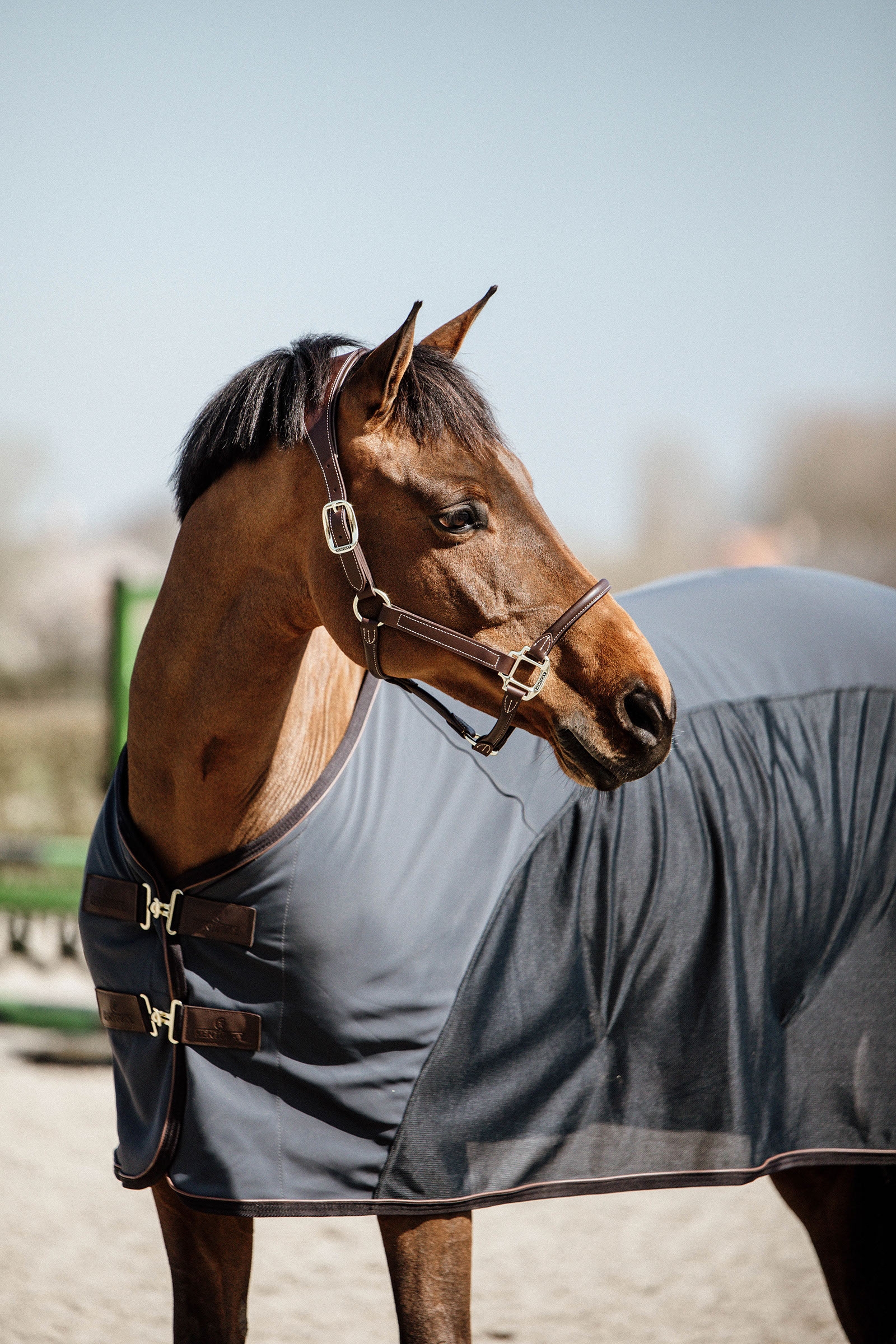 Kentucky Horsewear cooler-t&auml;cke i softshell