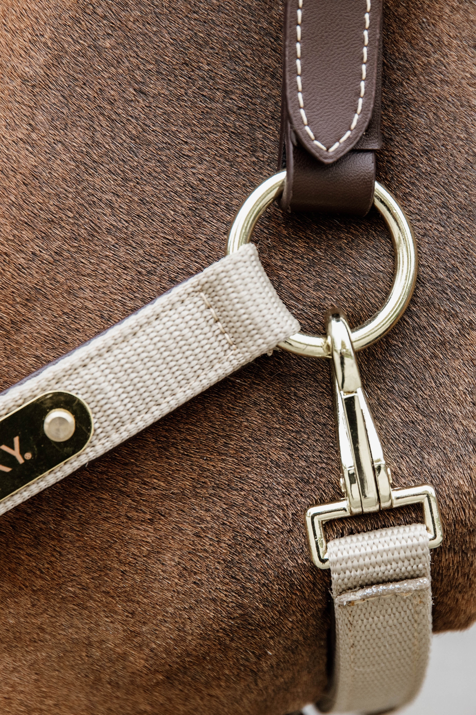 Kentucky Horsewear Anatomic nylongrimma