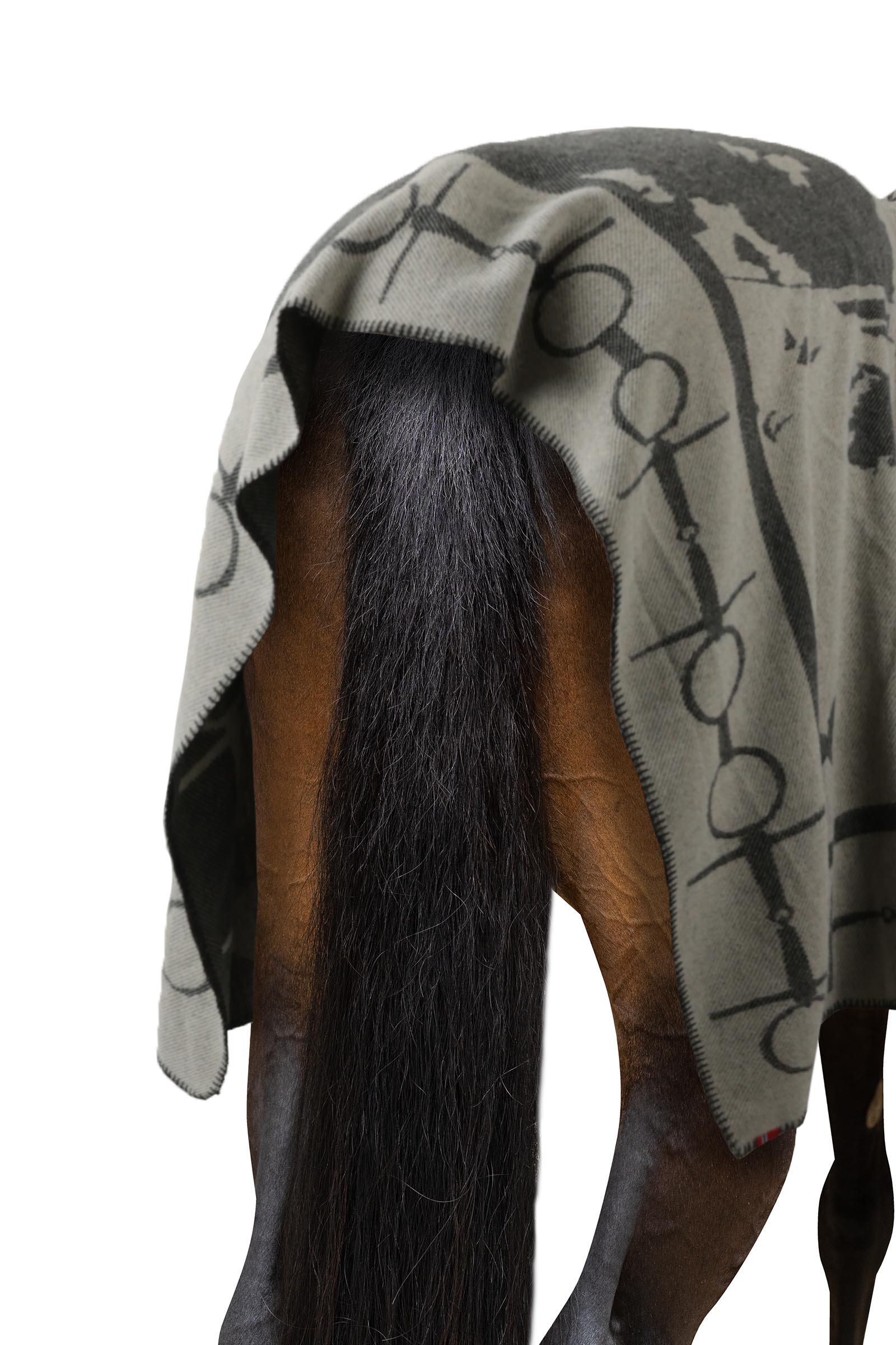 B Vertigo M&ouml;nstrad filt med h&auml;st och bett