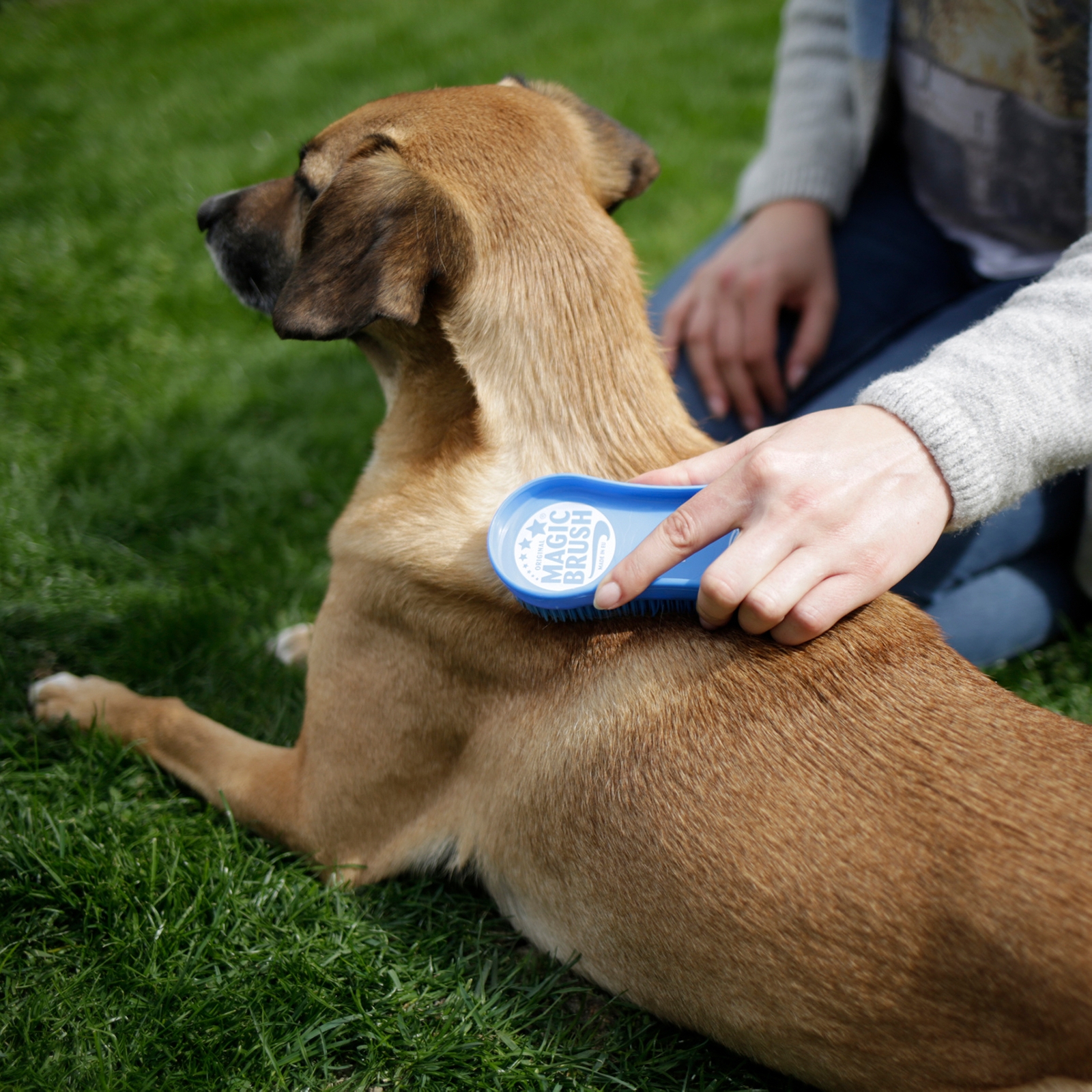 Kerbl Magic Brush hund