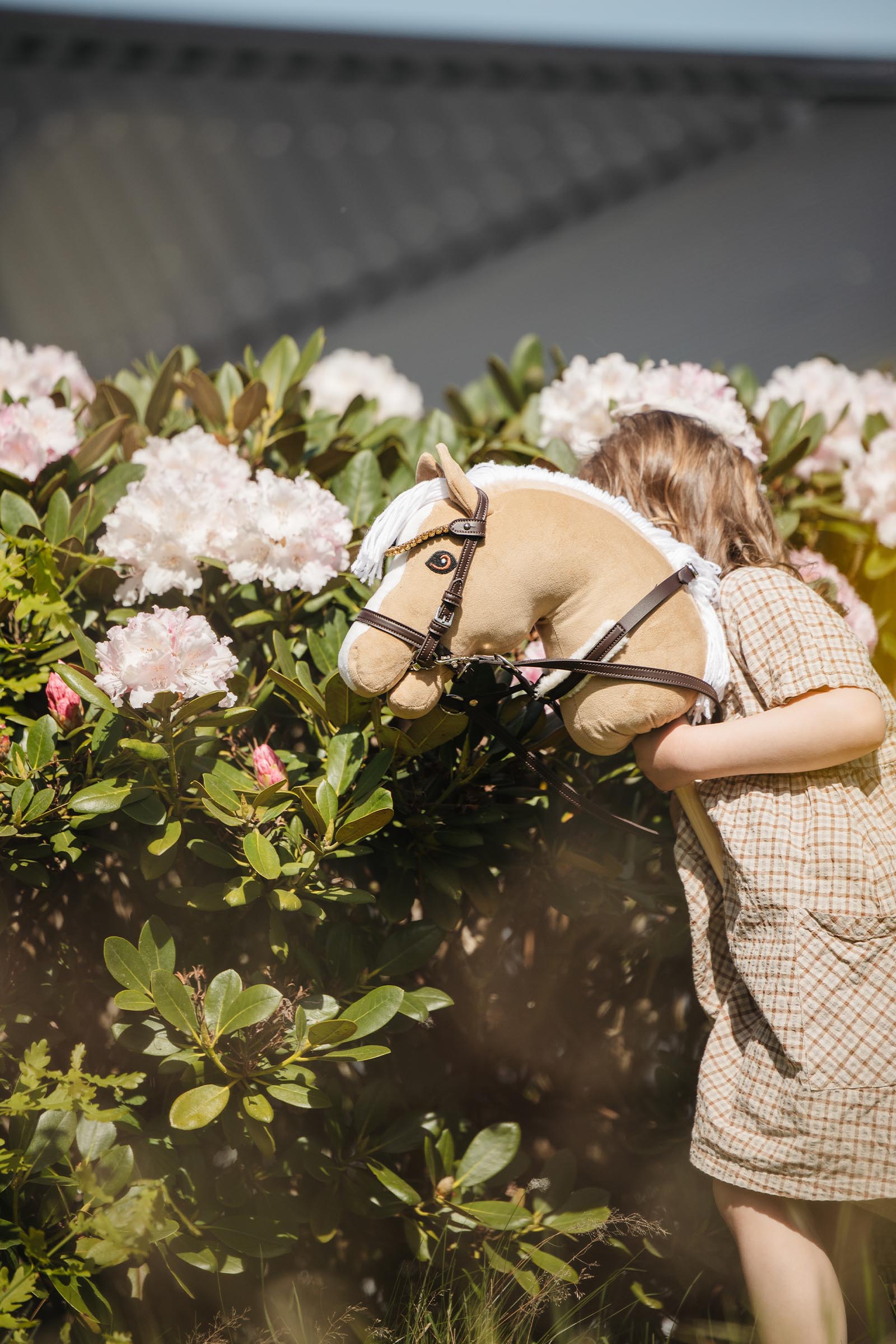 My Hobby Horse l&auml;dertr&auml;ns med stenar