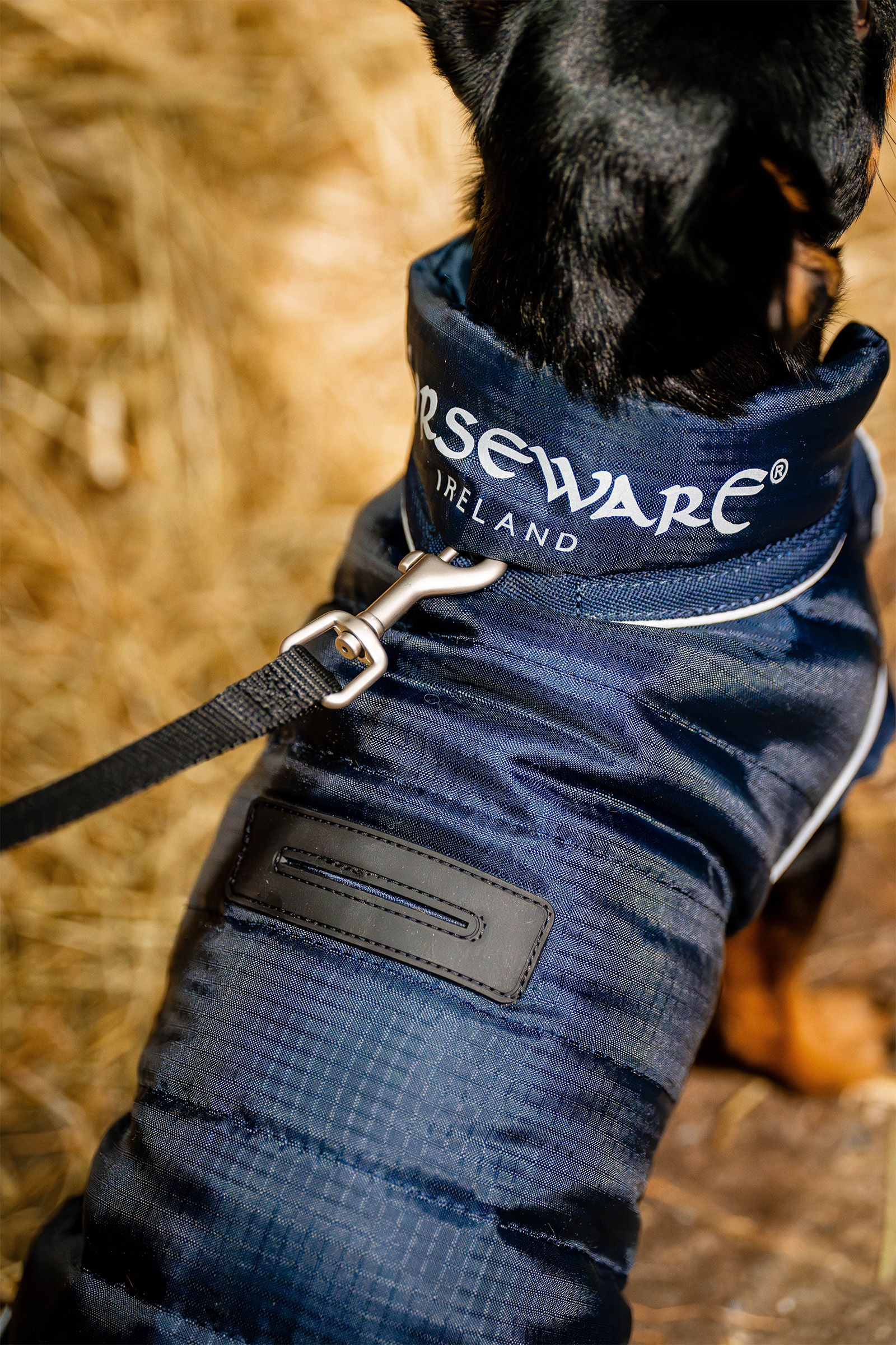 Horseware Signature Hundrock