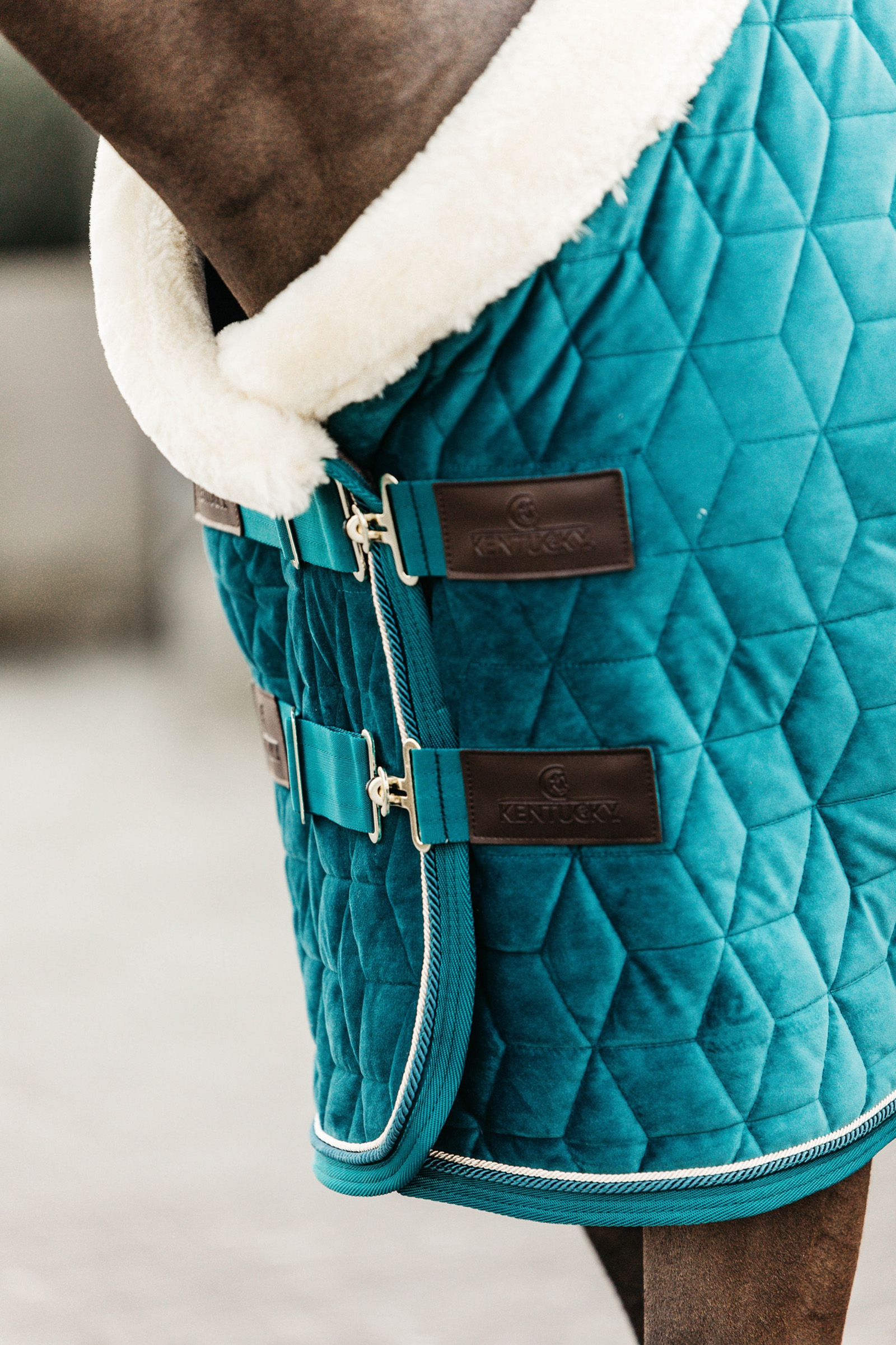 Kentucky Velvet Show Rug täcke, 160g