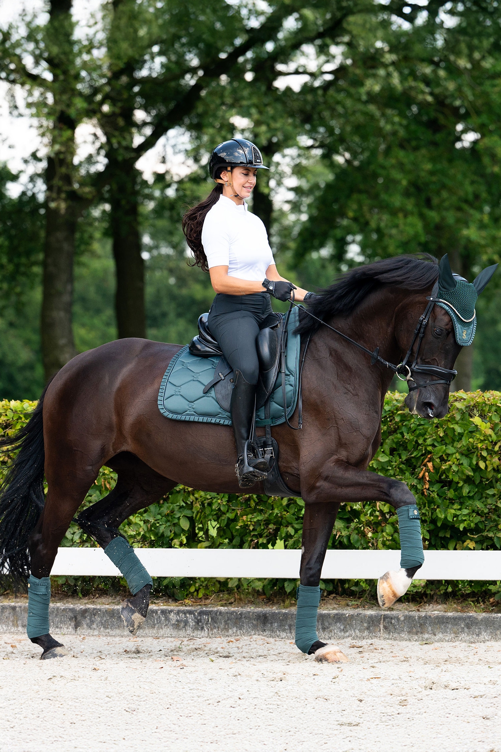 PS of Sweden dressyrschabrak Ruffle