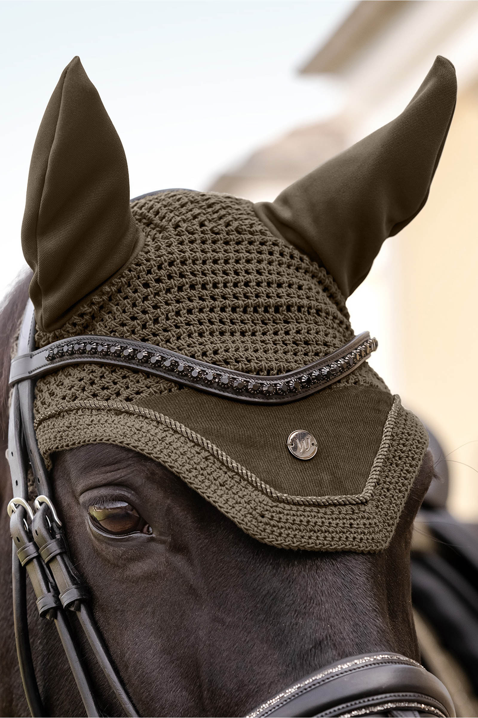 Waldhausen St. Gallen Flug&ouml;ron