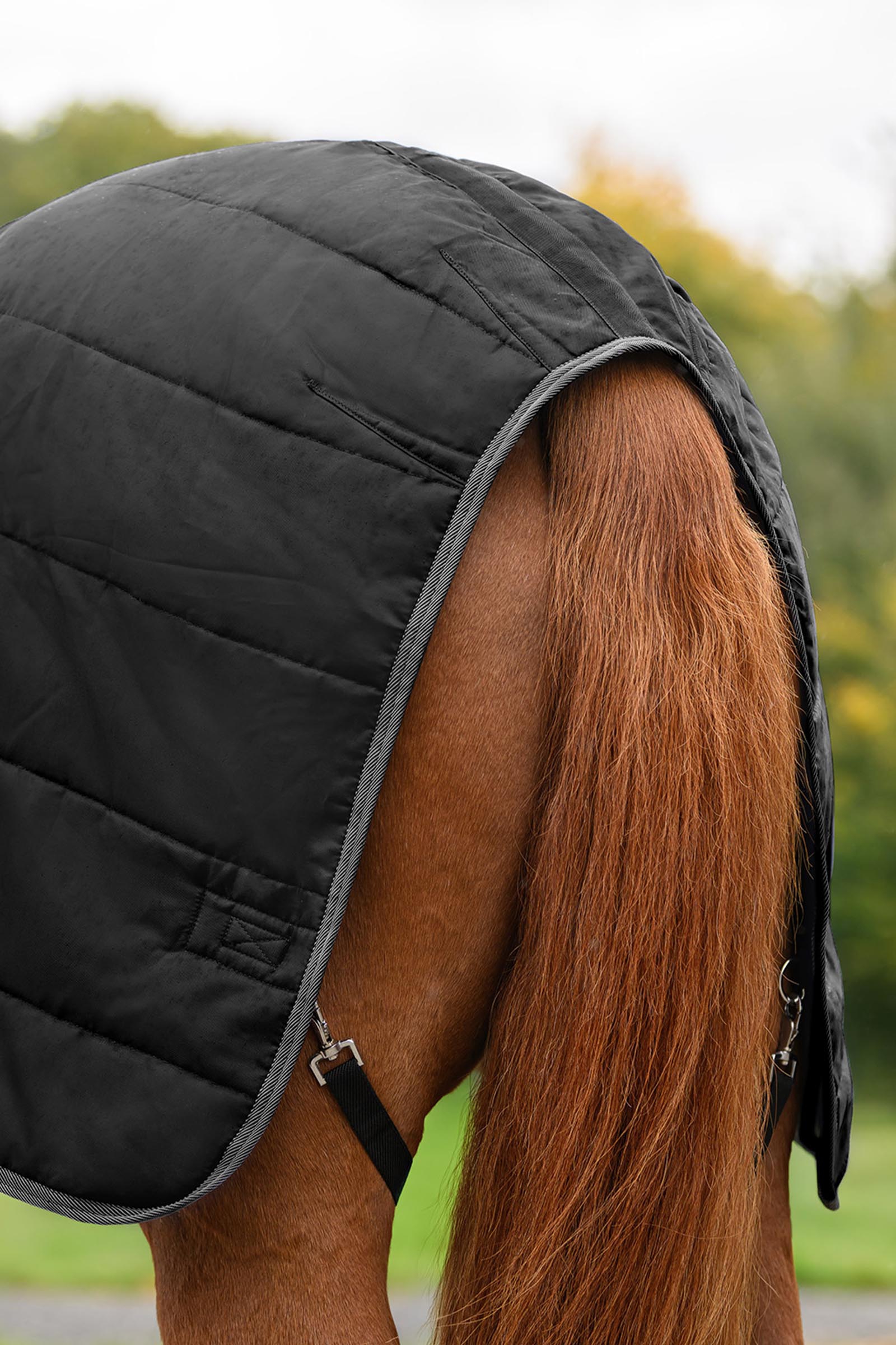 Waldhausen ECONOMIC stallt&auml;cke, 100g