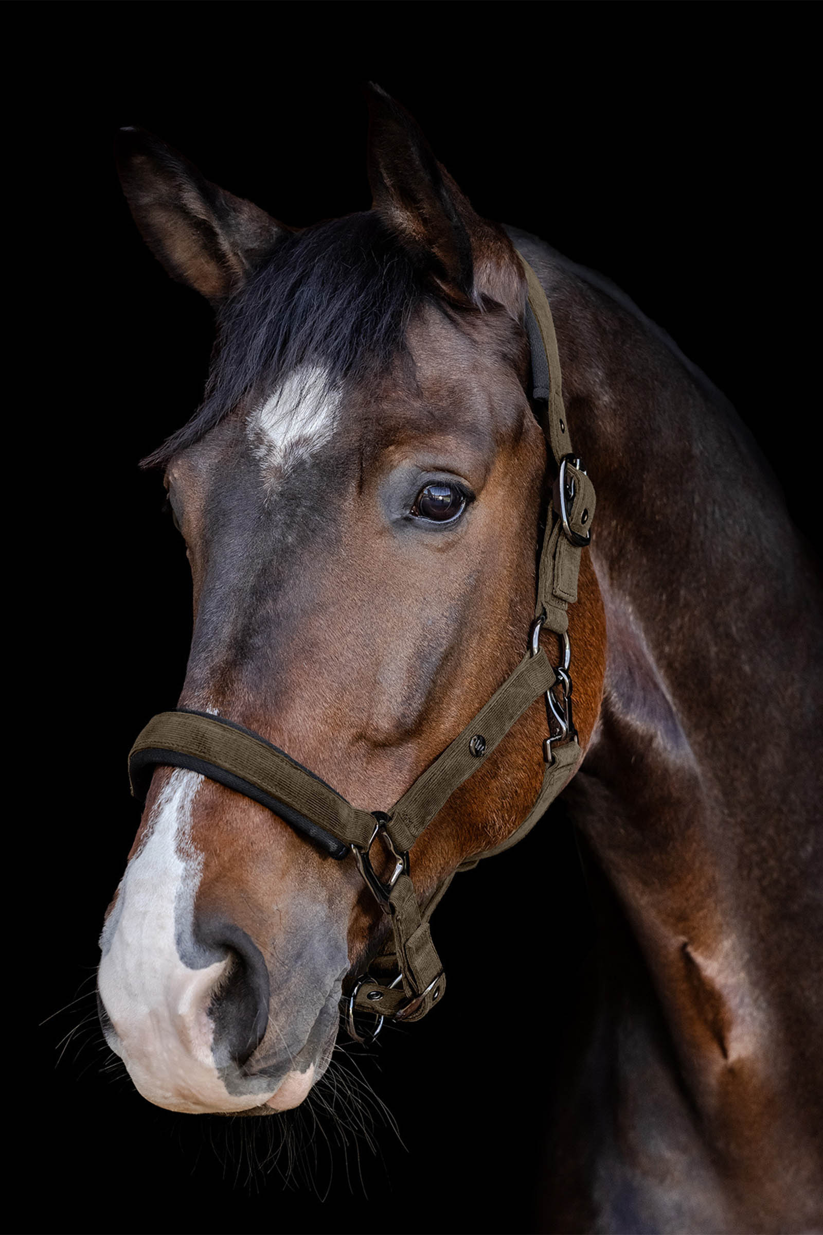 Waldhausen St. Gallen H&aring;llare 