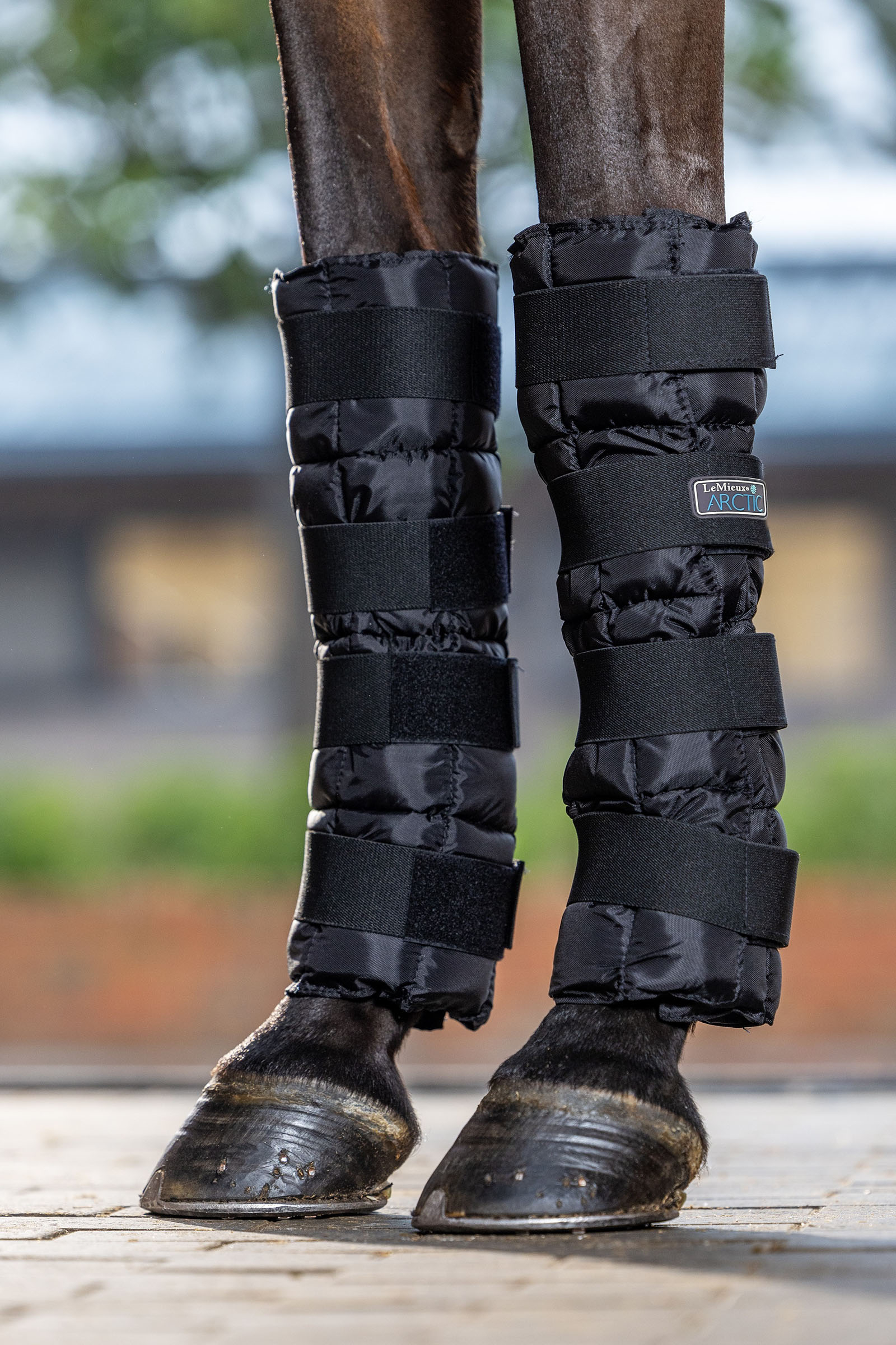 LeMieux Arctic Ice kylskydd (par)