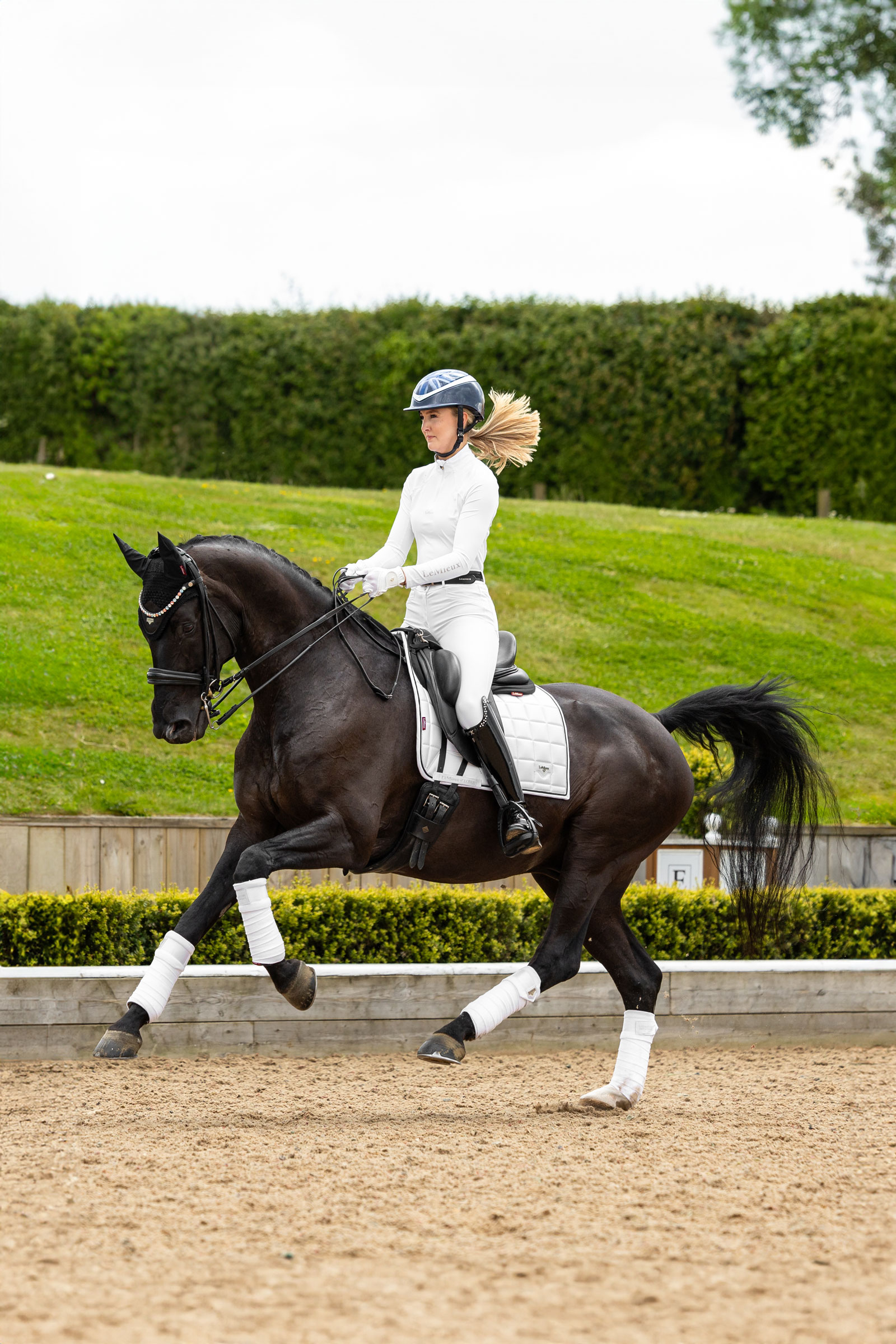 LeMieux Loire klassiskt fyrkantigt dressyr schabrak