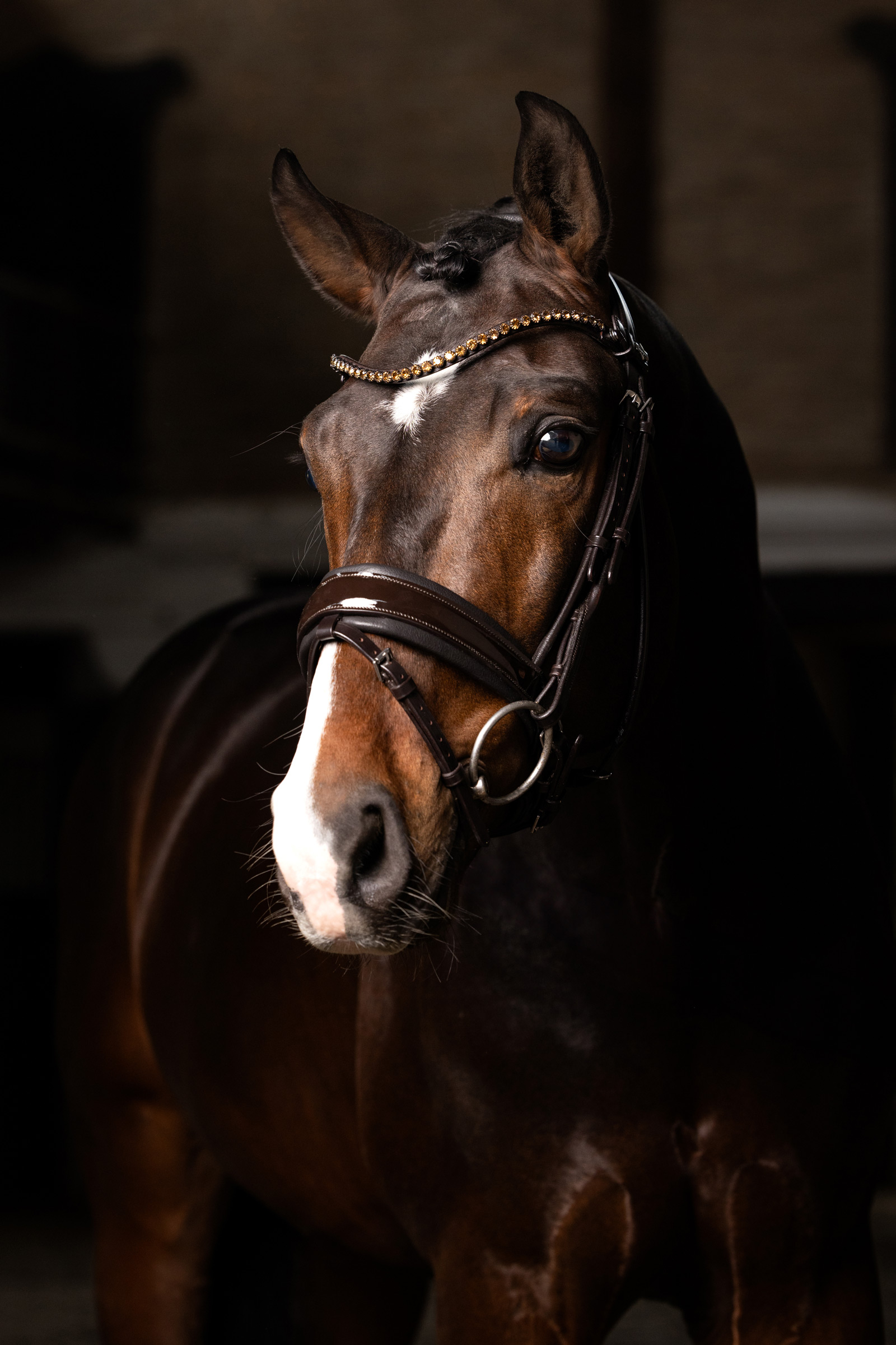 LeMieux Kudos Dressyrträns av Lackläder