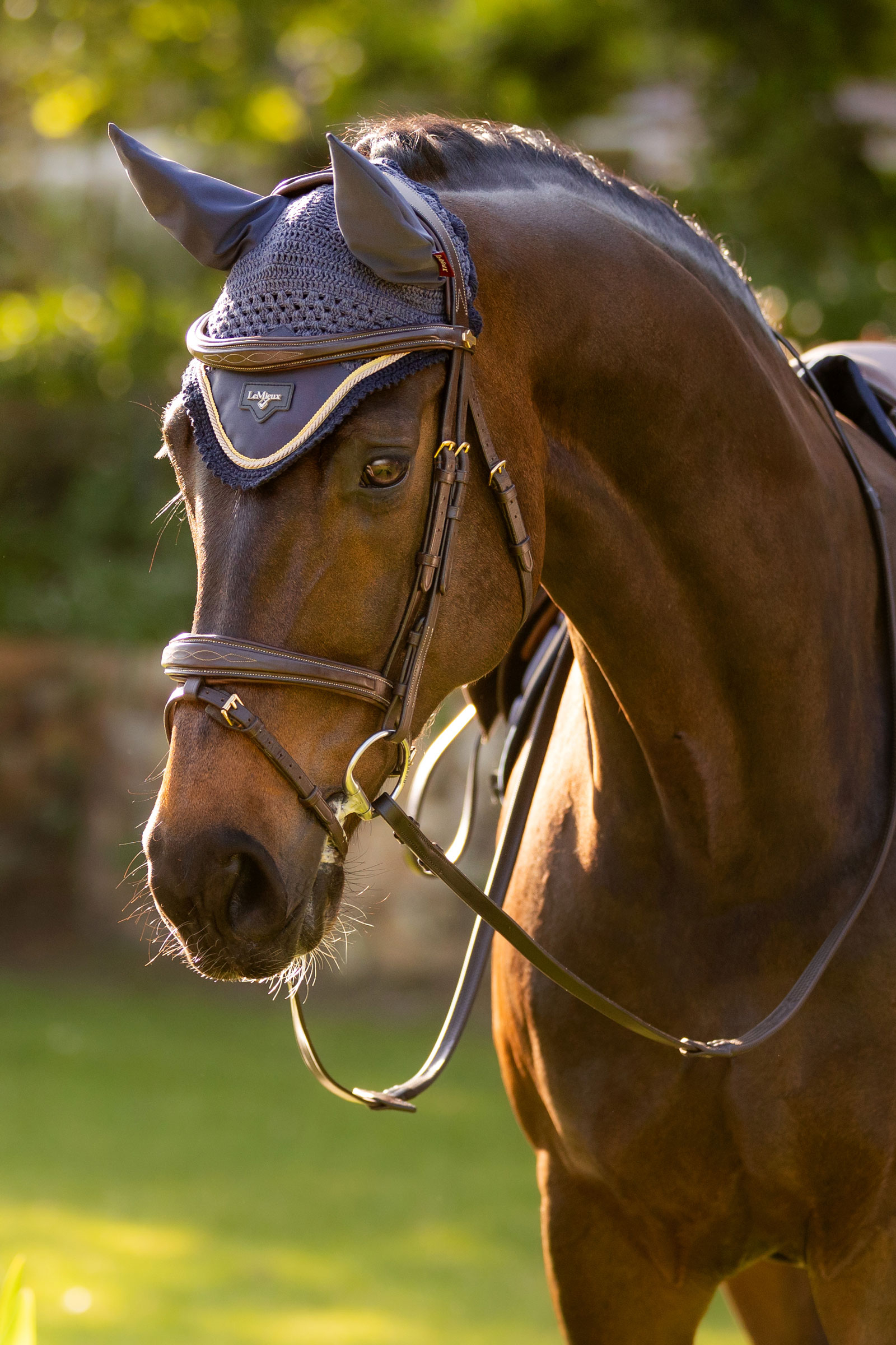 LeMieux Loire Satinhätta