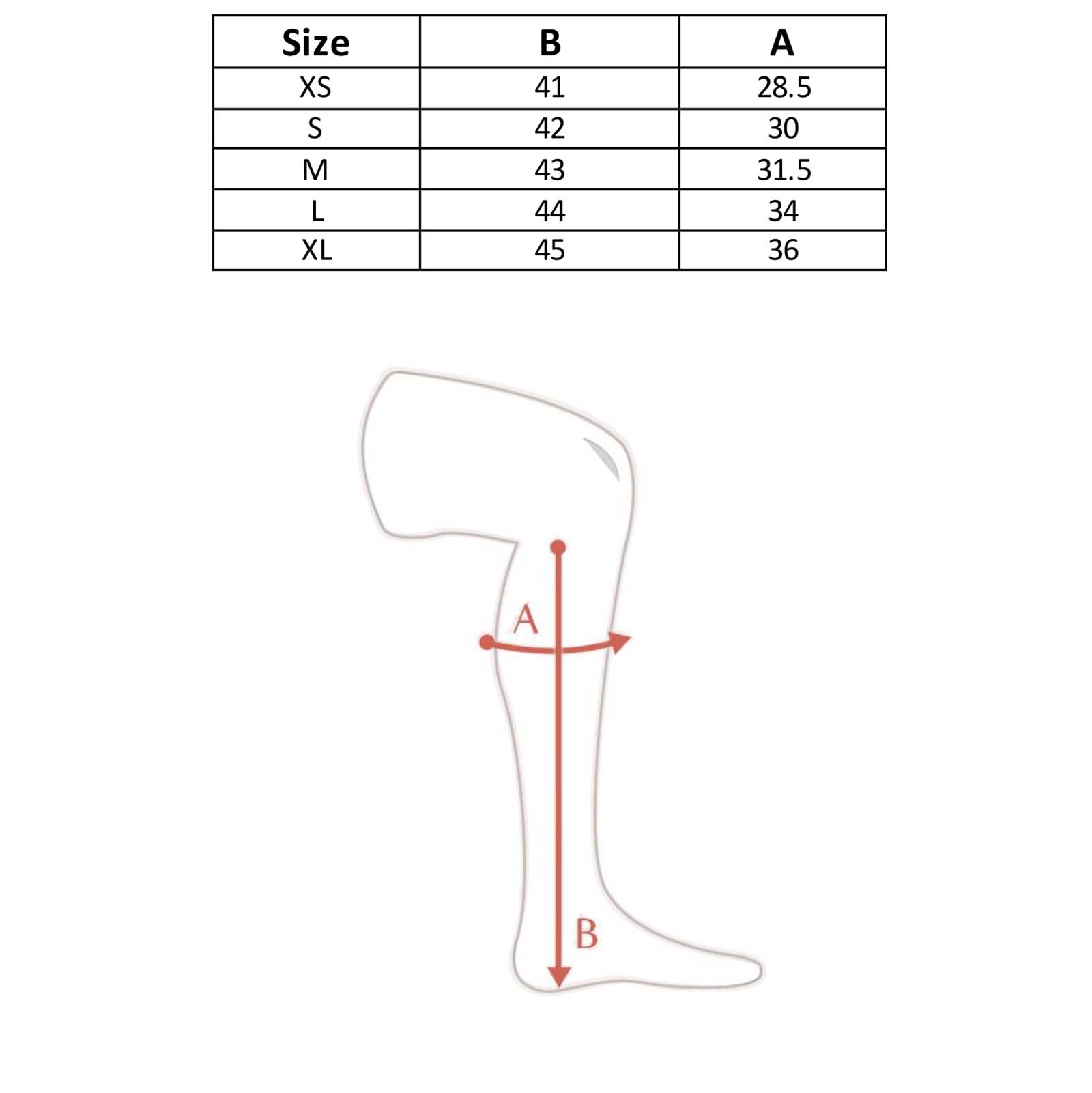 Horze Quinton läderchaps