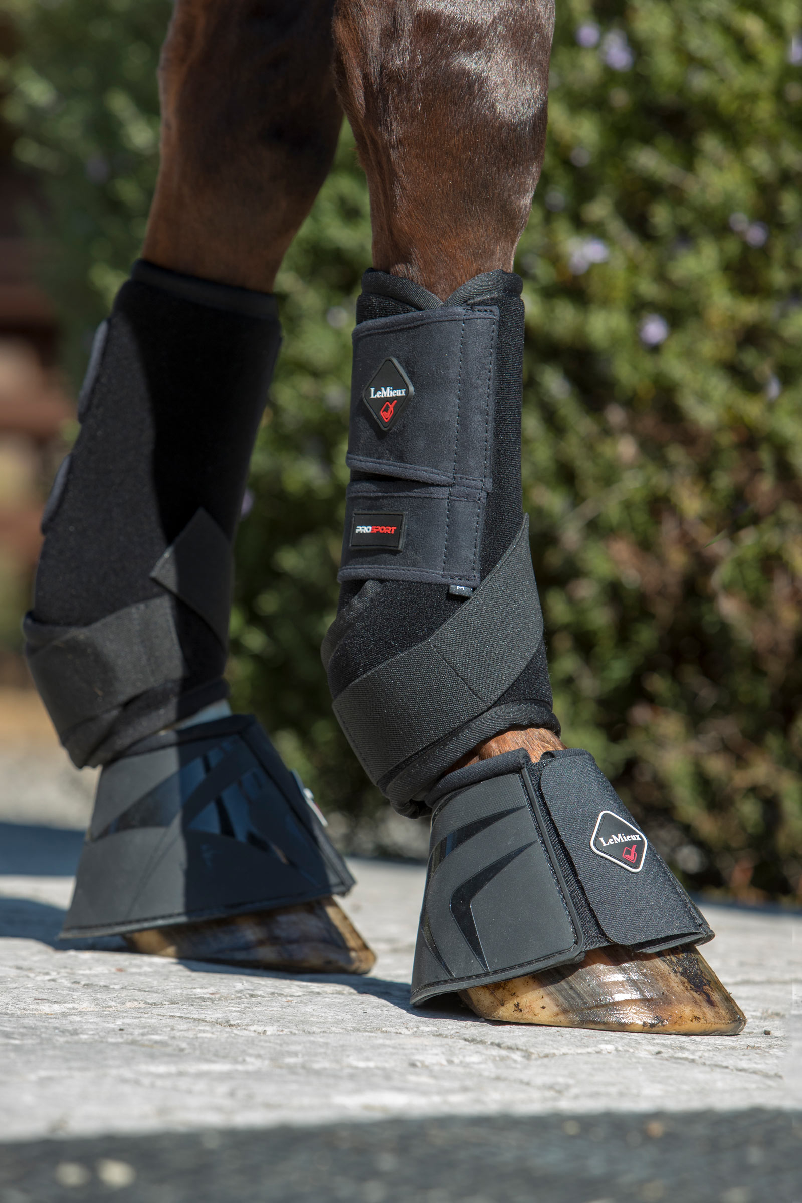 LeMieux Ultra Support Boots till hästar