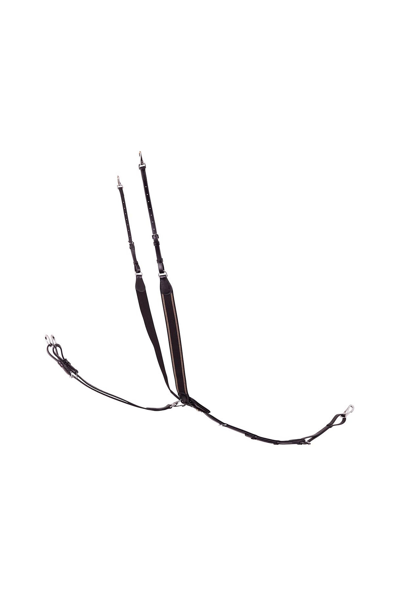 BR Taunton elastiskt brösta med avtagbar martingal