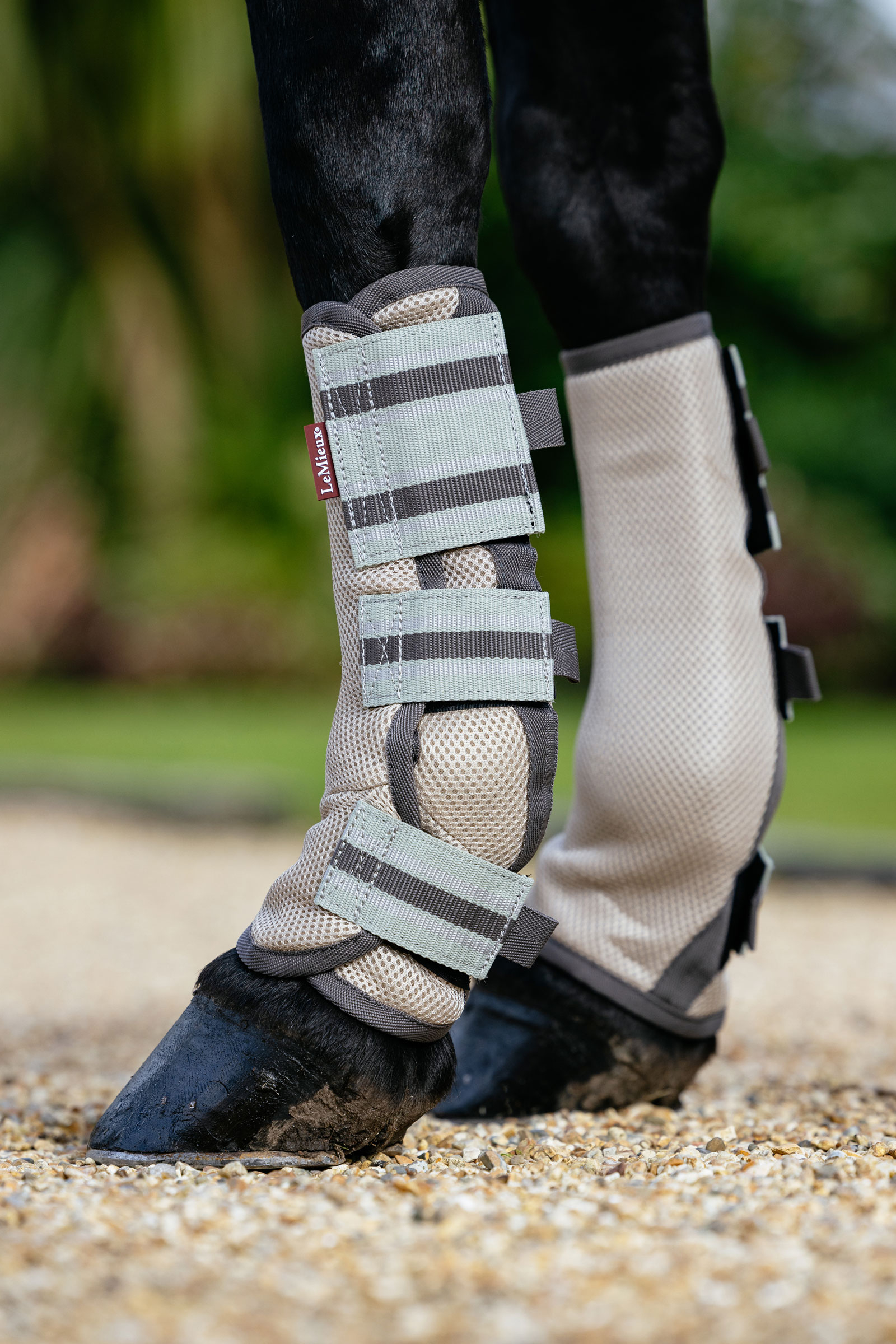 LeMieux Arika mesh flugskydd set 4 stycken