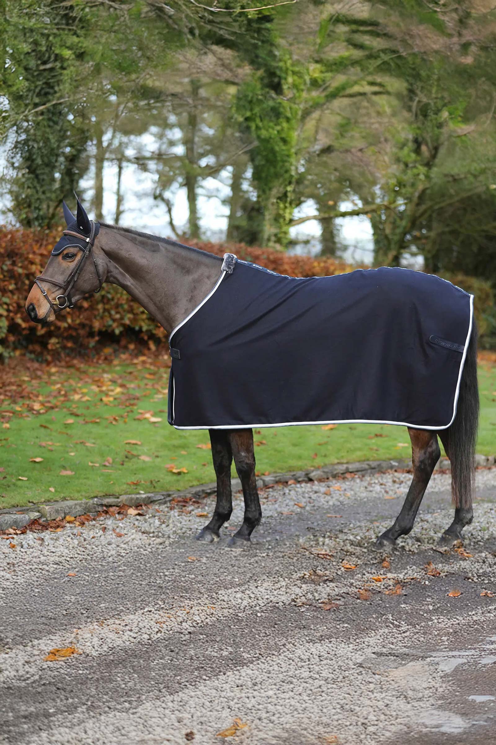 Bucas Emerald Wool Rug