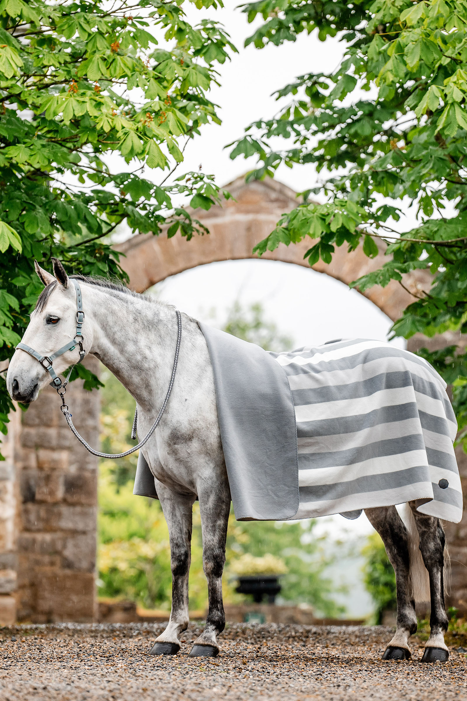 Witney Charcoal Horseware Newmarket Fleece Svett&auml;cke (Square)