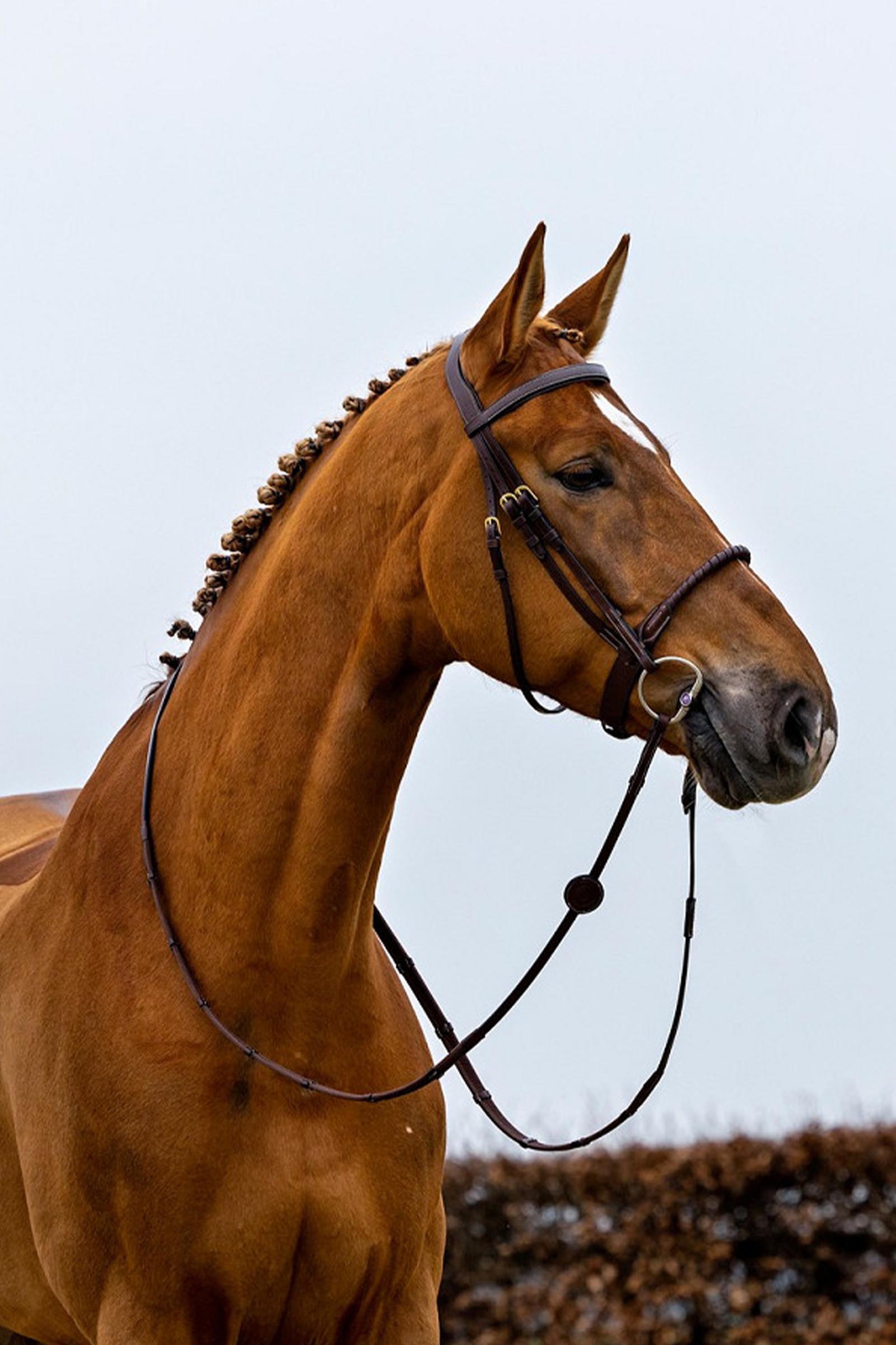 Trust Equestrian Dublin Rep N&auml;sbygel med Bridle