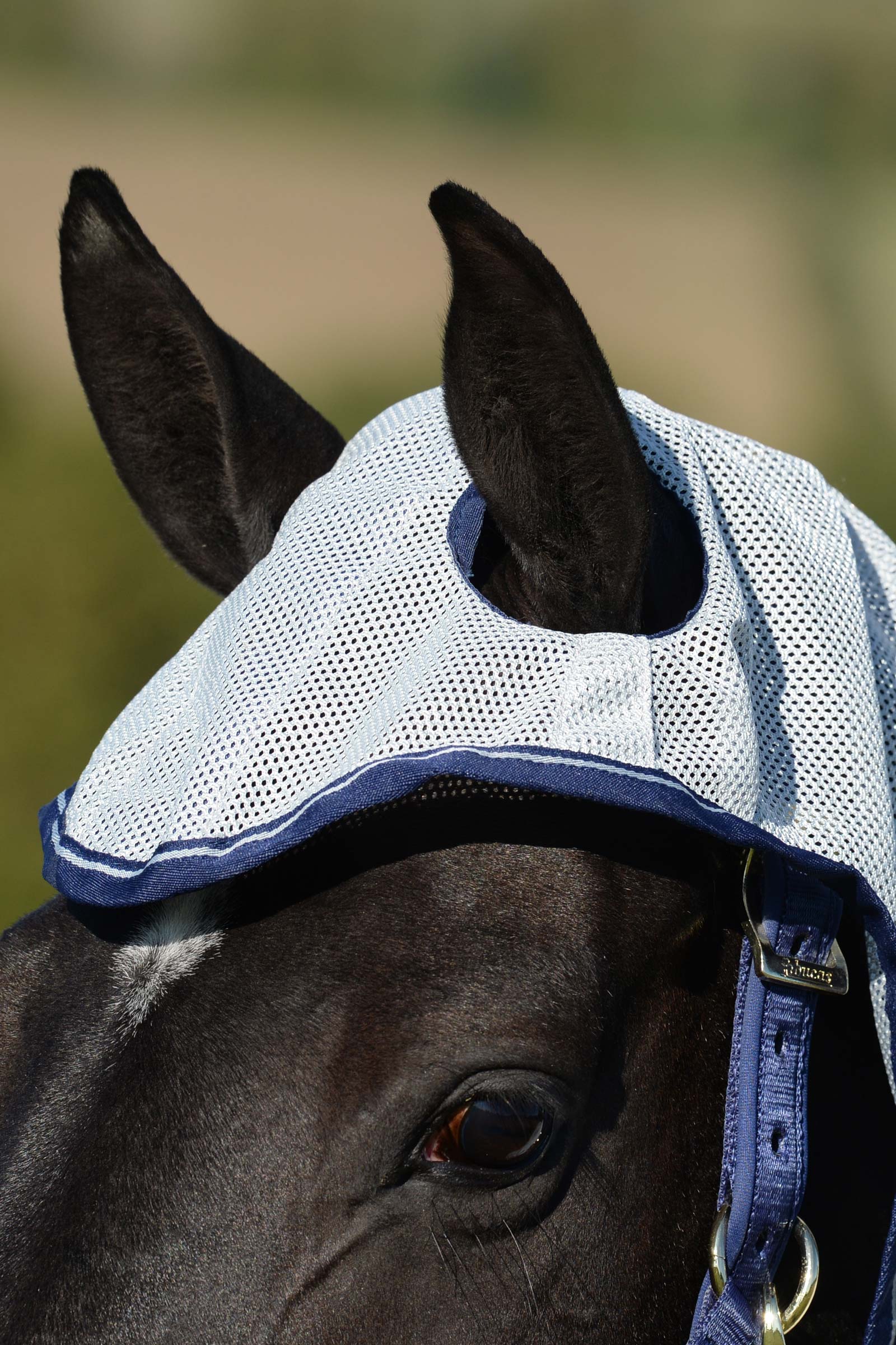 Bucas Buzz-Off X-light Full Neck flugtäcke med fast halstäcke