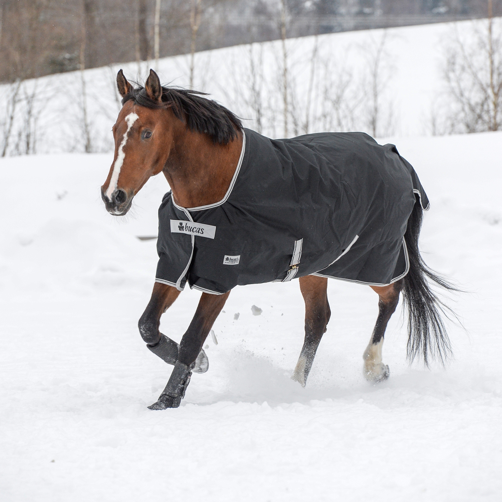 Bucas Anniversary Light SD Utetäcke, 150g