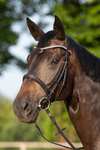 Kieffer Ultrasoft&reg; Sue Bridle