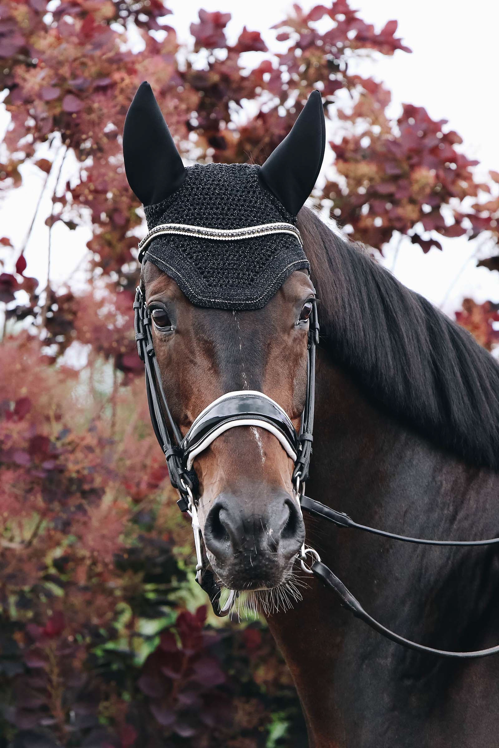 Kentucky Horsewear Wellington Sparkling ridhuva