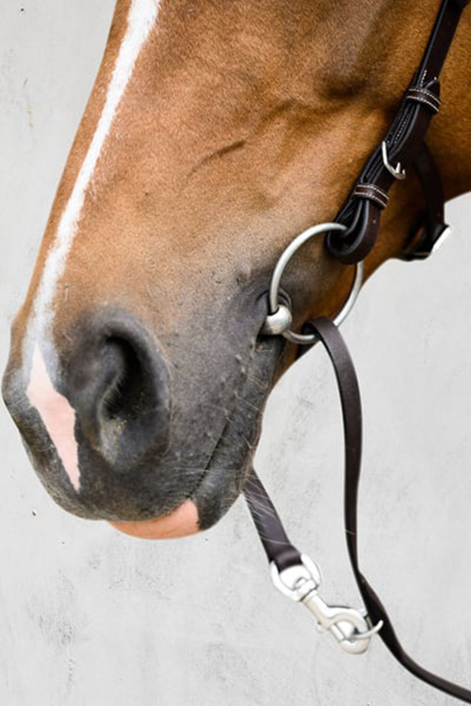 PS of Sweden Helsinki Träns