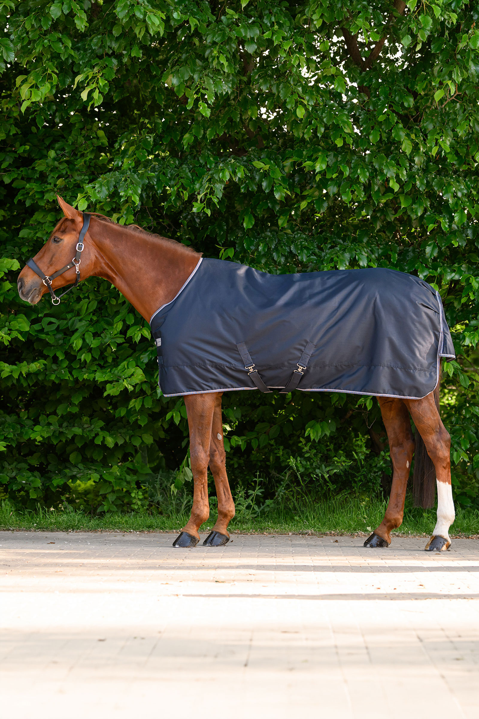 Waldhausen ECONOMIC l&auml;tt utet&auml;cke