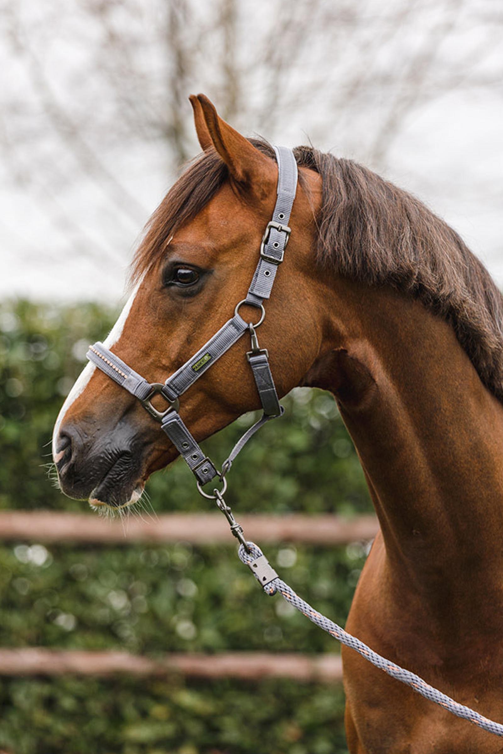 ANKY Stones Grimma och Grimskaft