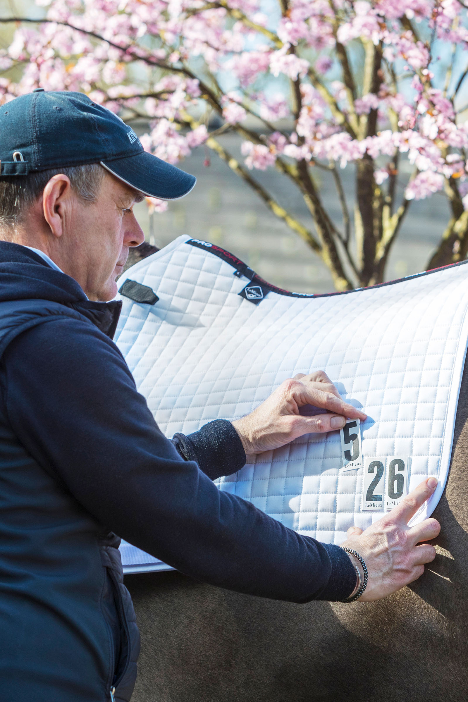 LeMieux Dressage Competition Square dressyrschabrak