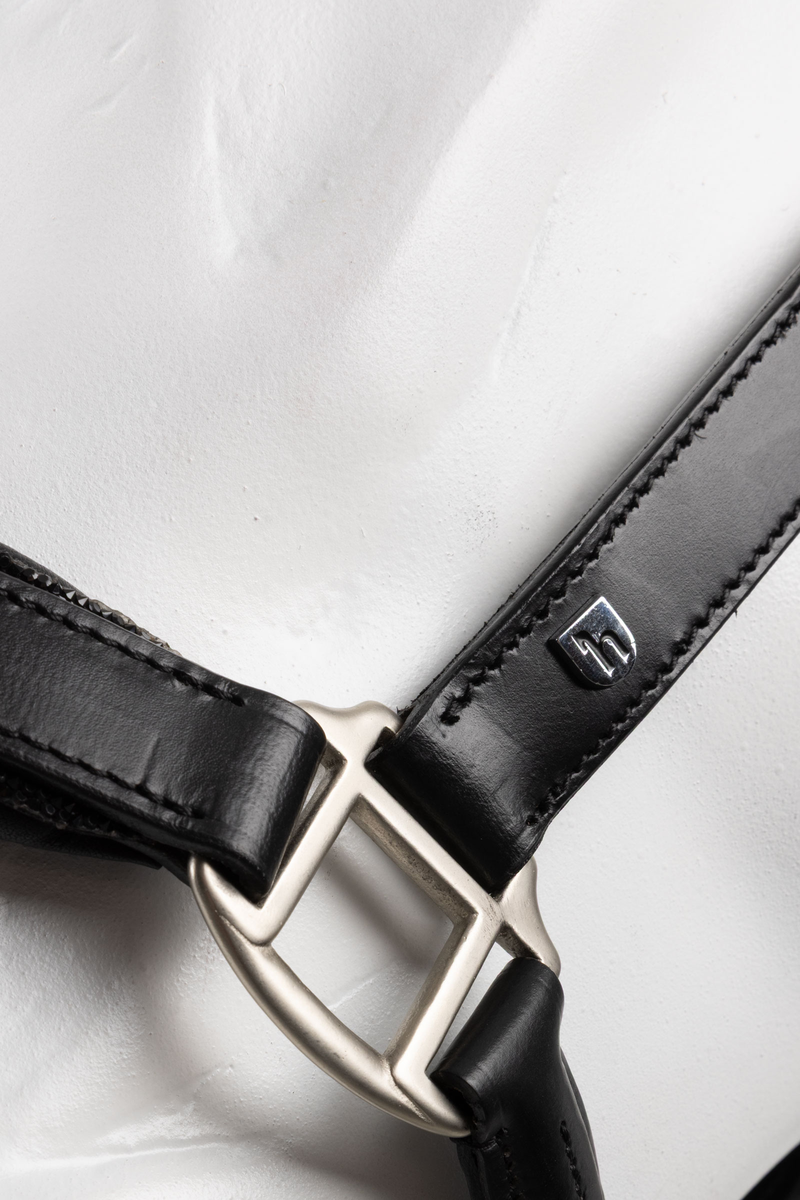 Horze Dynasty L&auml;dergrimma & grimskaft set