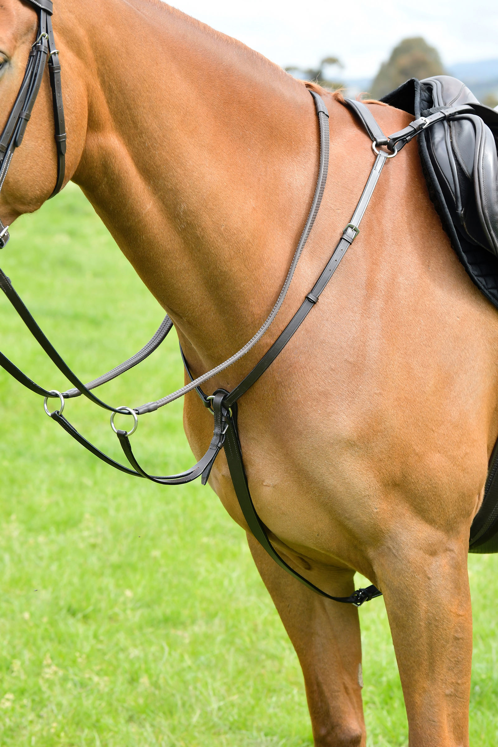 Brown Kincade Classic 3-punkts brösta med löpande martingal