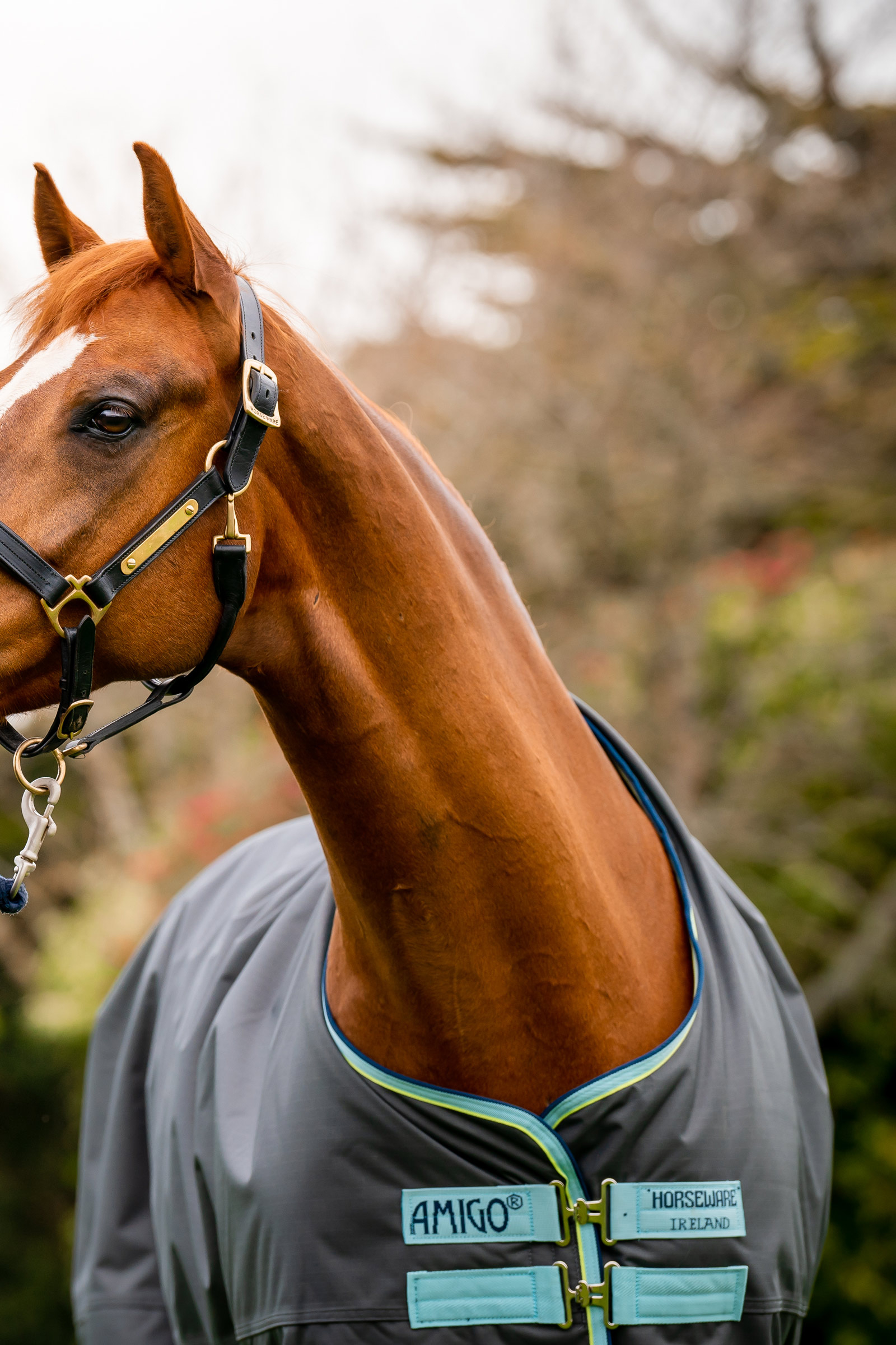 Horseware Amigo Hero Ripstop Plus utet&auml;cke med avtagbar hals, 200g