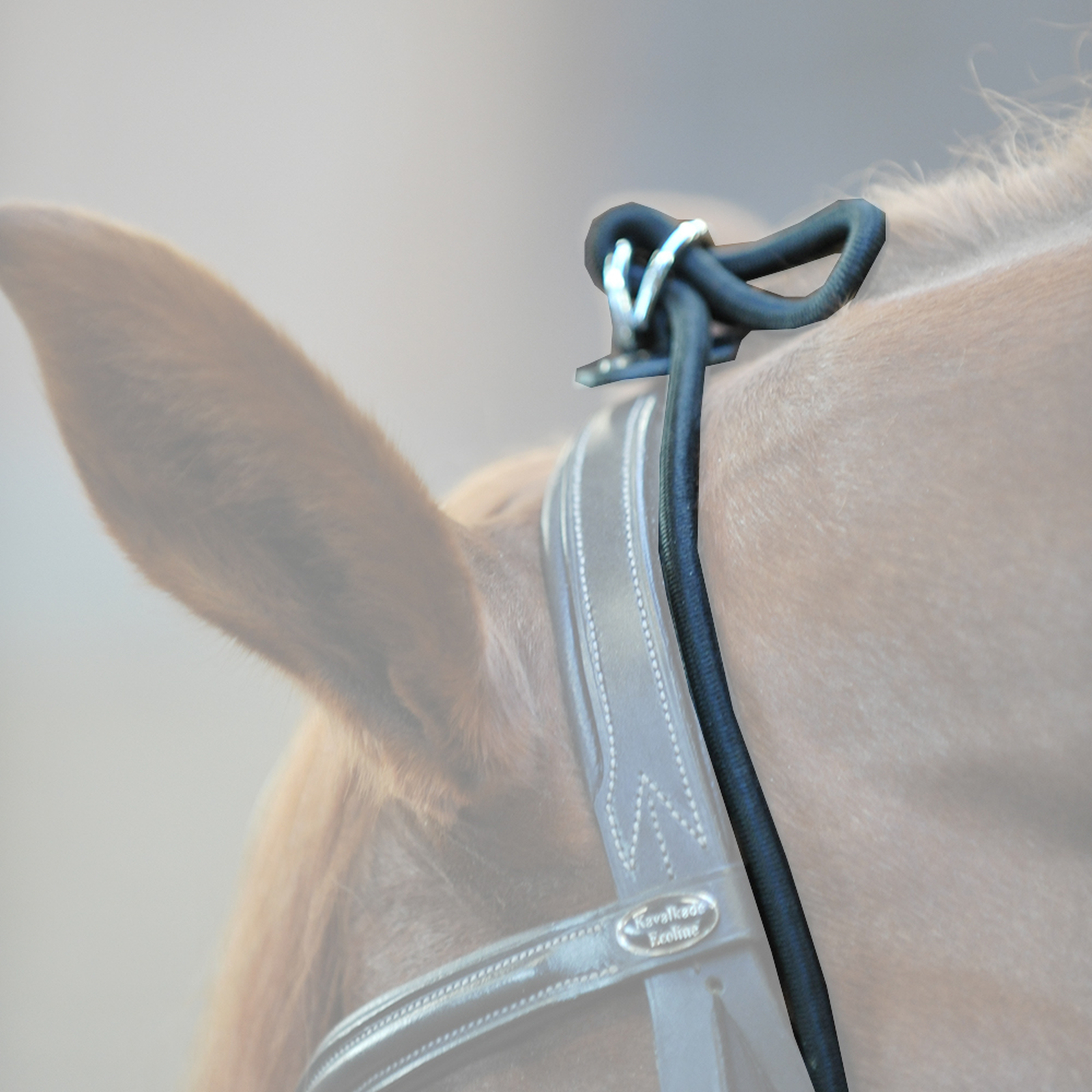 Kavalkade halsf&ouml;rl&auml;ngare, t&ouml;jbar