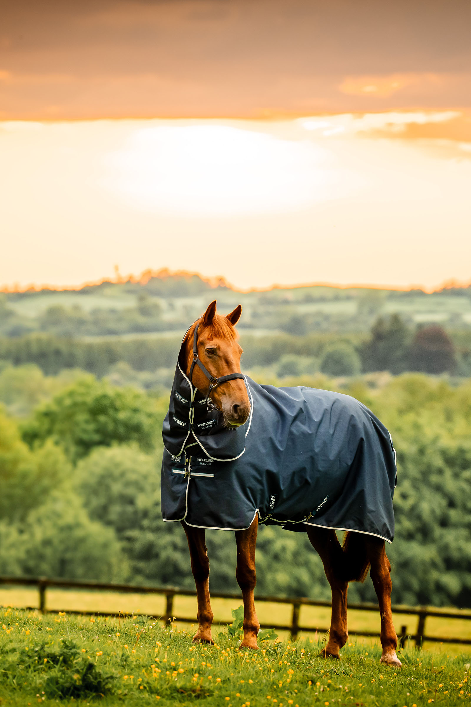 Witney Navy Horseware Amigo Ripstop 900D Plus utetäcke med avtagbar halsdel, 100 g