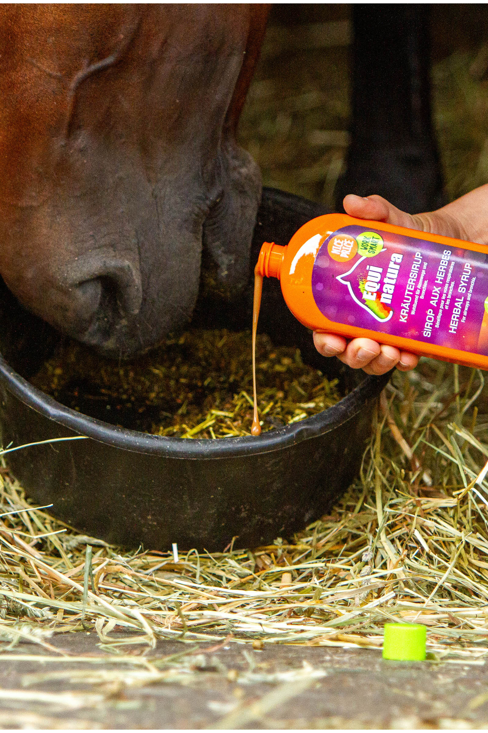 Equinatura Herbal Syrup, 500 ml