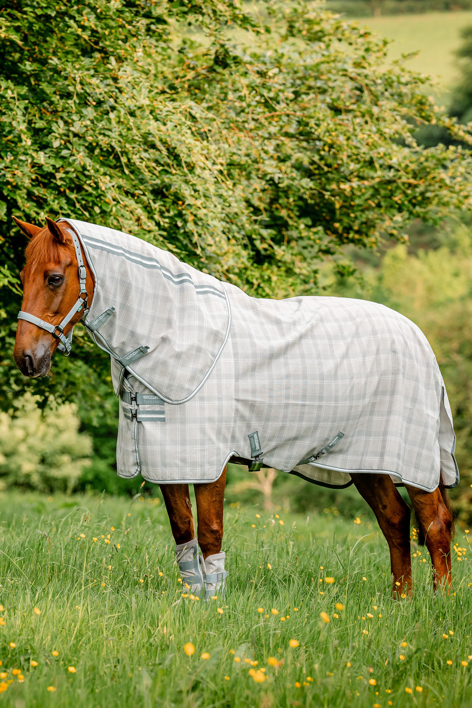 Witney Charcoal Horseware Newmarket Plus Flugt&auml;cke