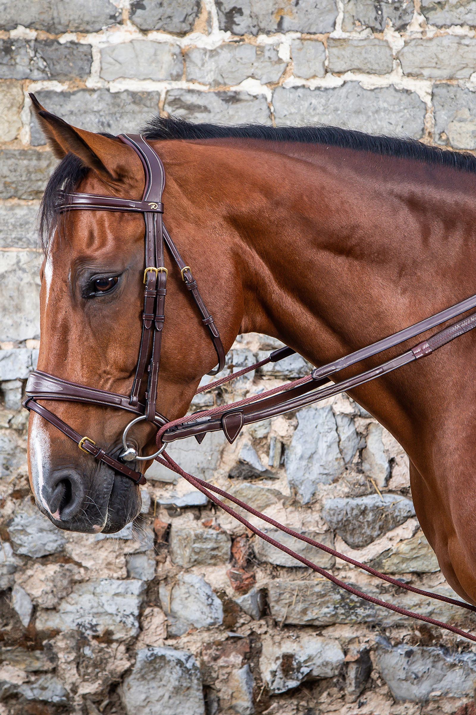 Dy'on D-Collection insp&auml;nningstyglar l&auml;der/nylon 16 mm