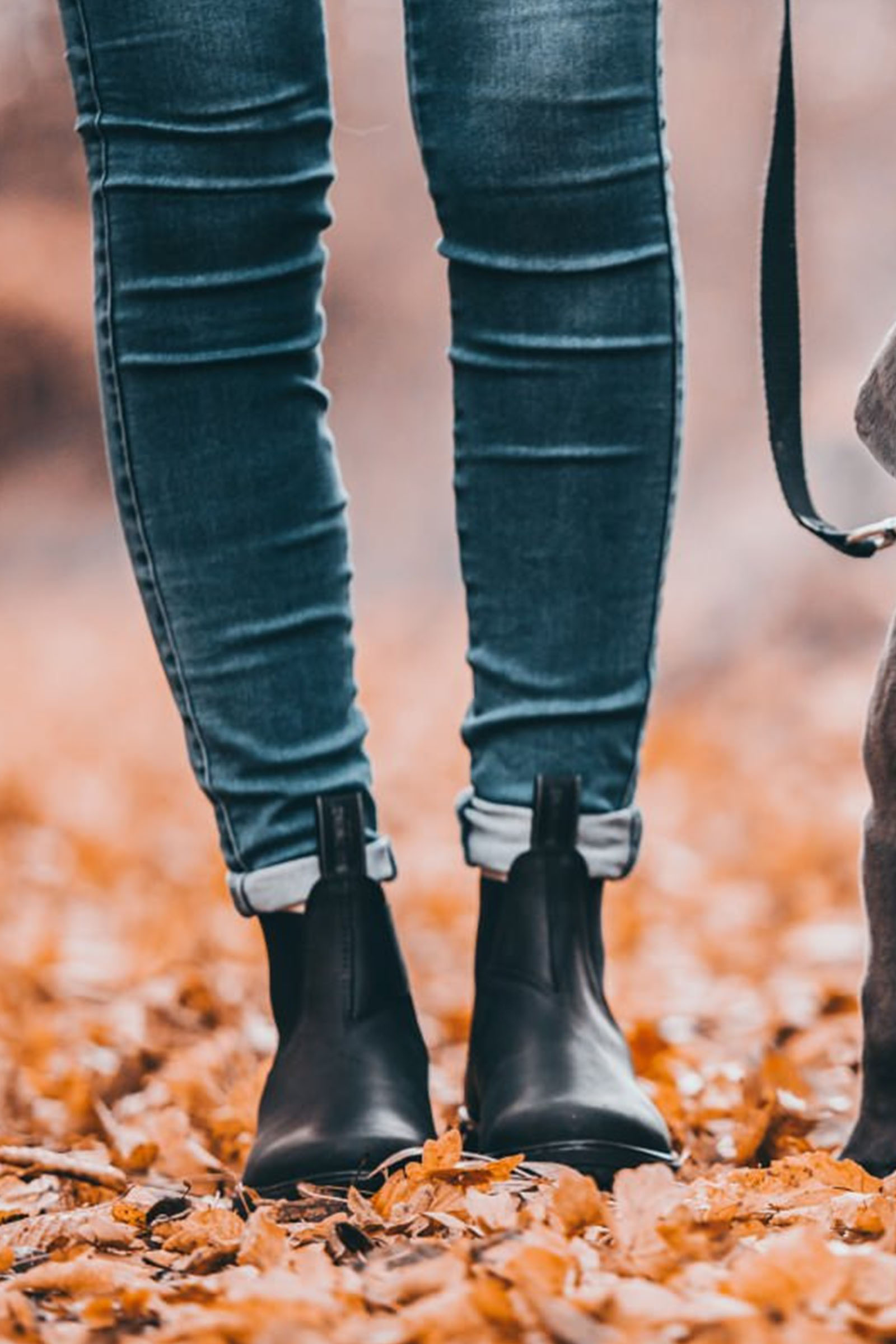 Suedwind Footwear 1888 Chelsea Jodhpur Stövlar