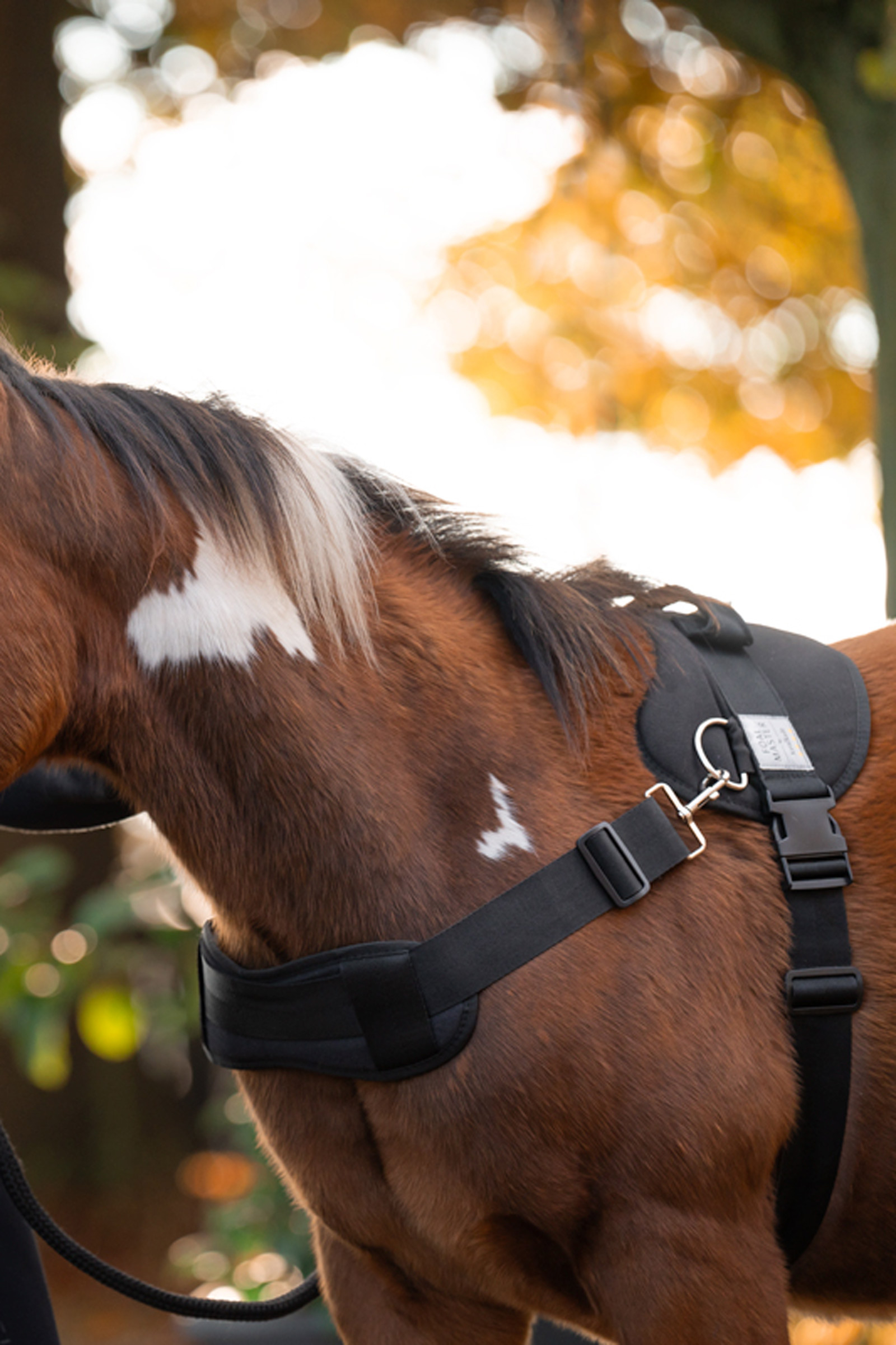 Kavalkade Foalmaster f&ouml;lsele med handtag
