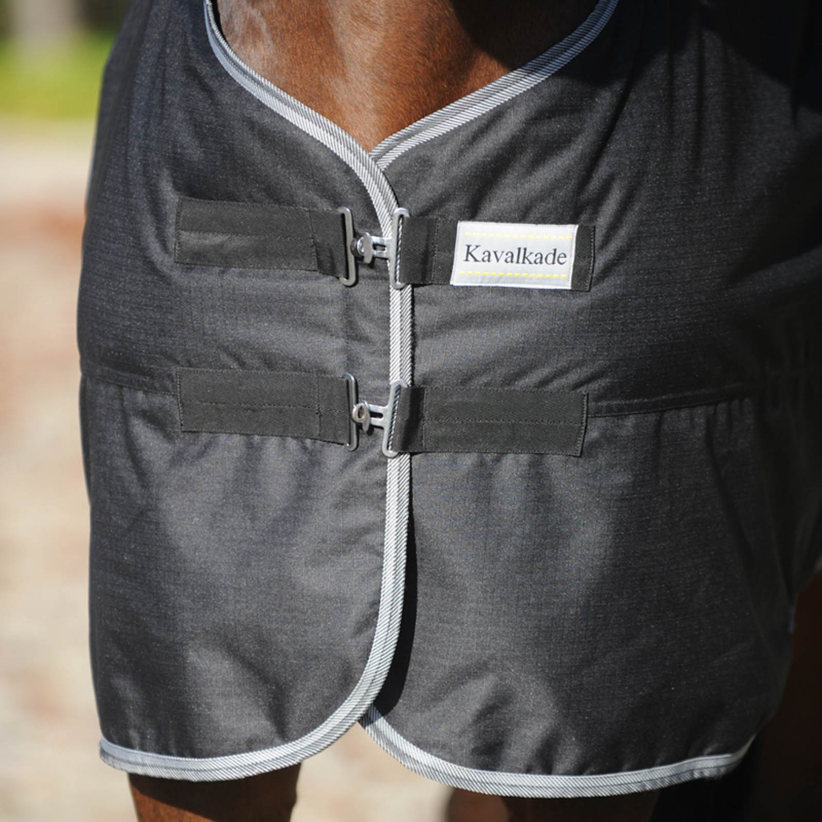 Kavalkade Winnipeg Utetäcke 50g