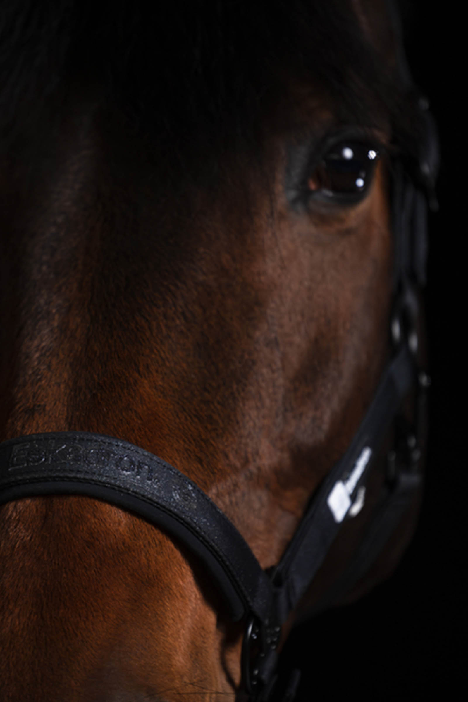 Eskadron Dynamics AW25 glittrig grimma med dubbla sp&auml;nnen