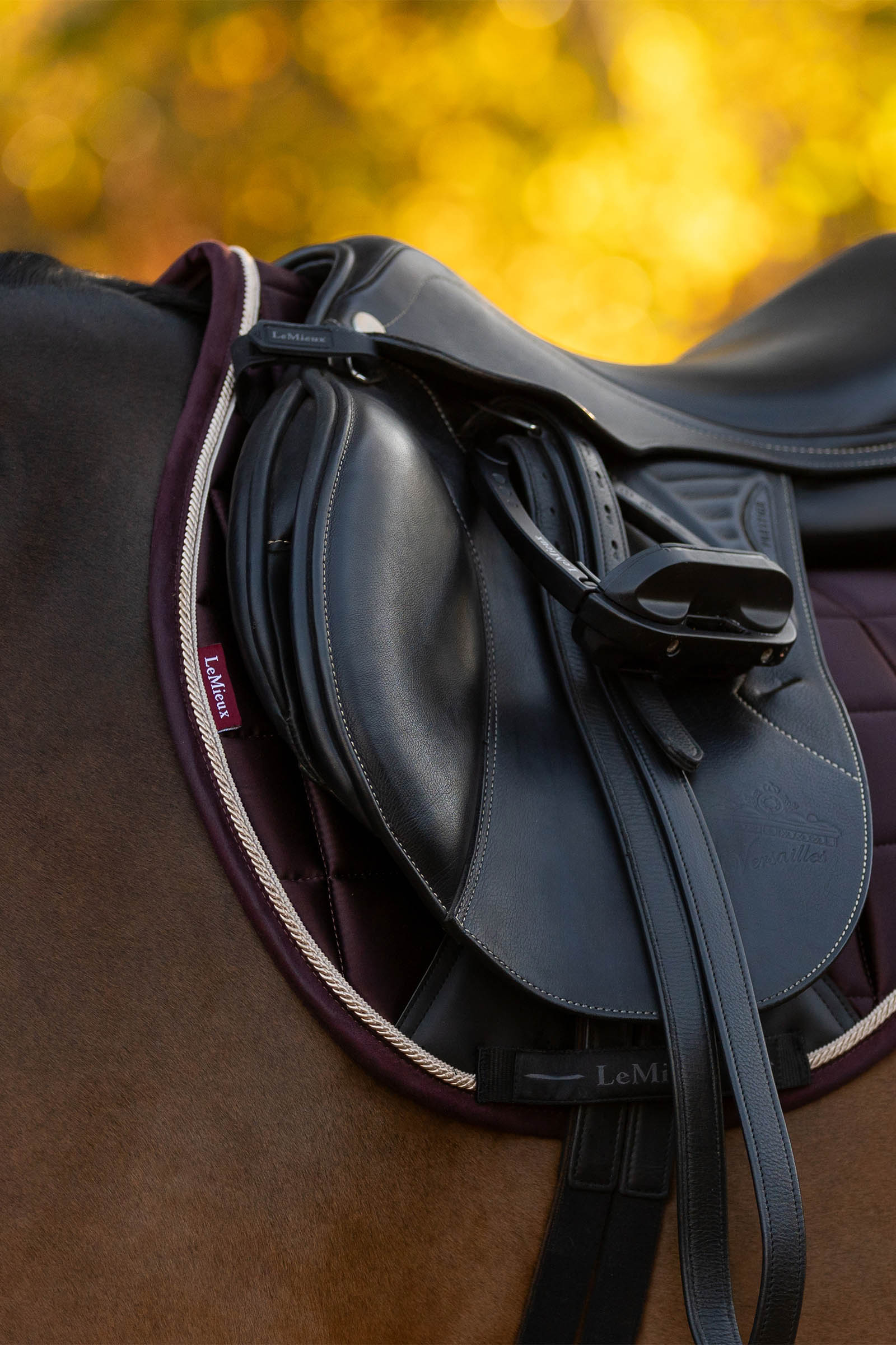 LeMieux Loire klassiskt fyrkantigt allround schabrak