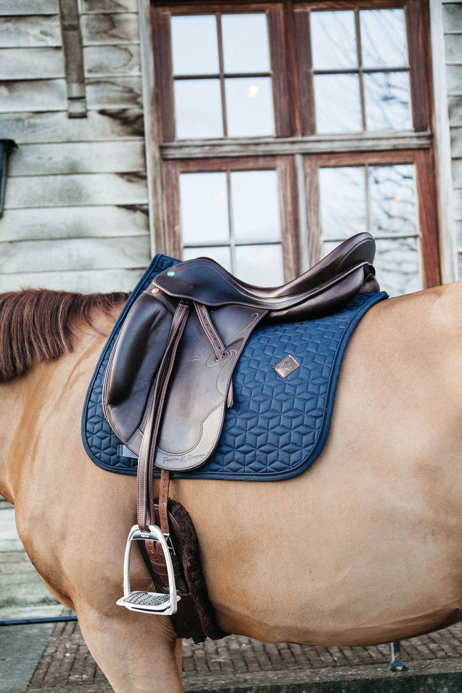 DB/AB Kentucky Horsewear Basic dressyrschabrak