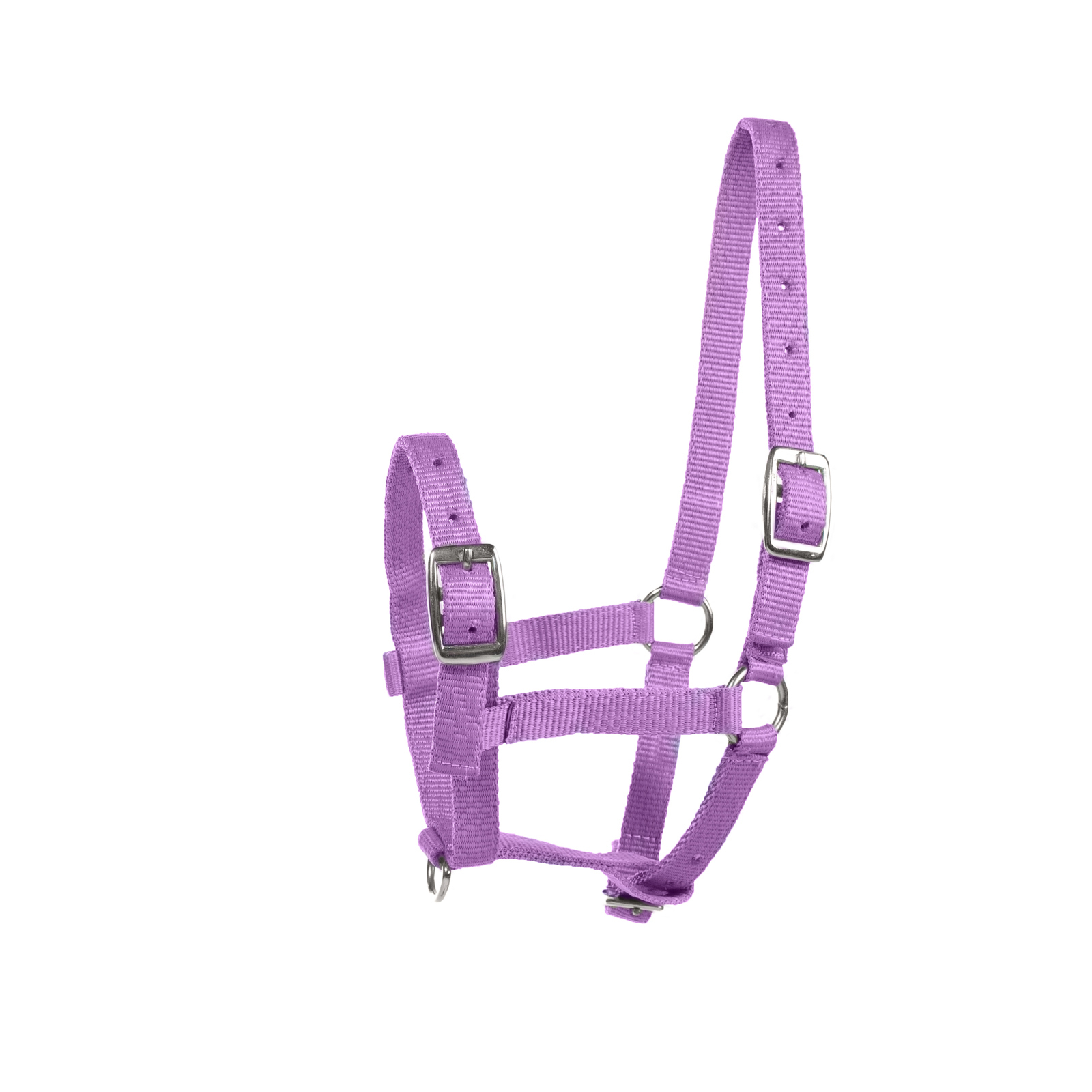 Purple Horze Foal Halter f&ouml;lgrimma