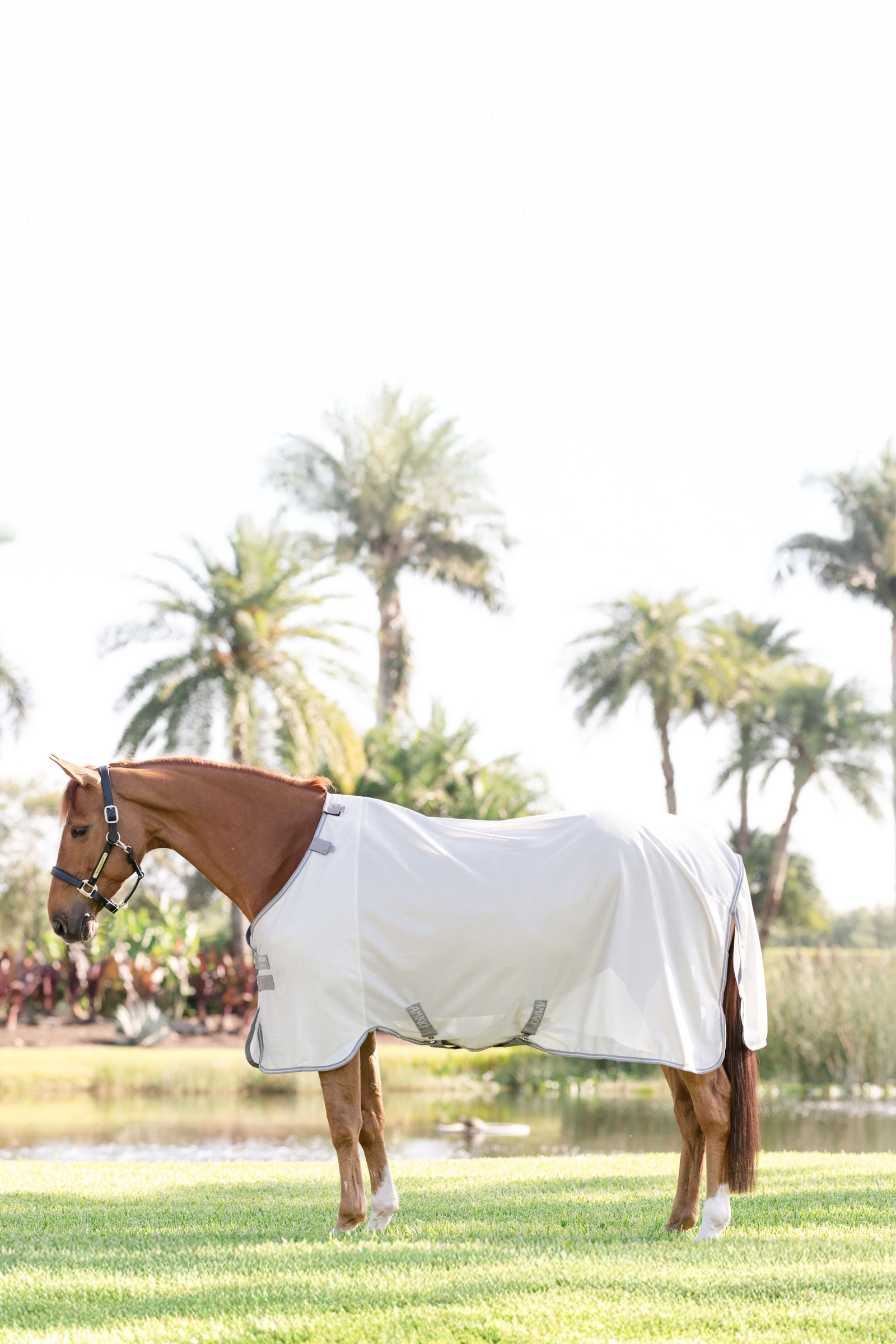 Horseware Amigo flugt&auml;cke med UV-skydd