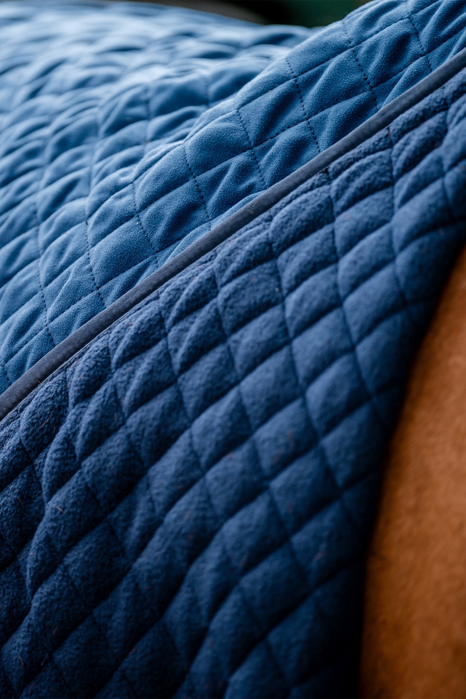 Horseware Signature Transporttäcke, 50g